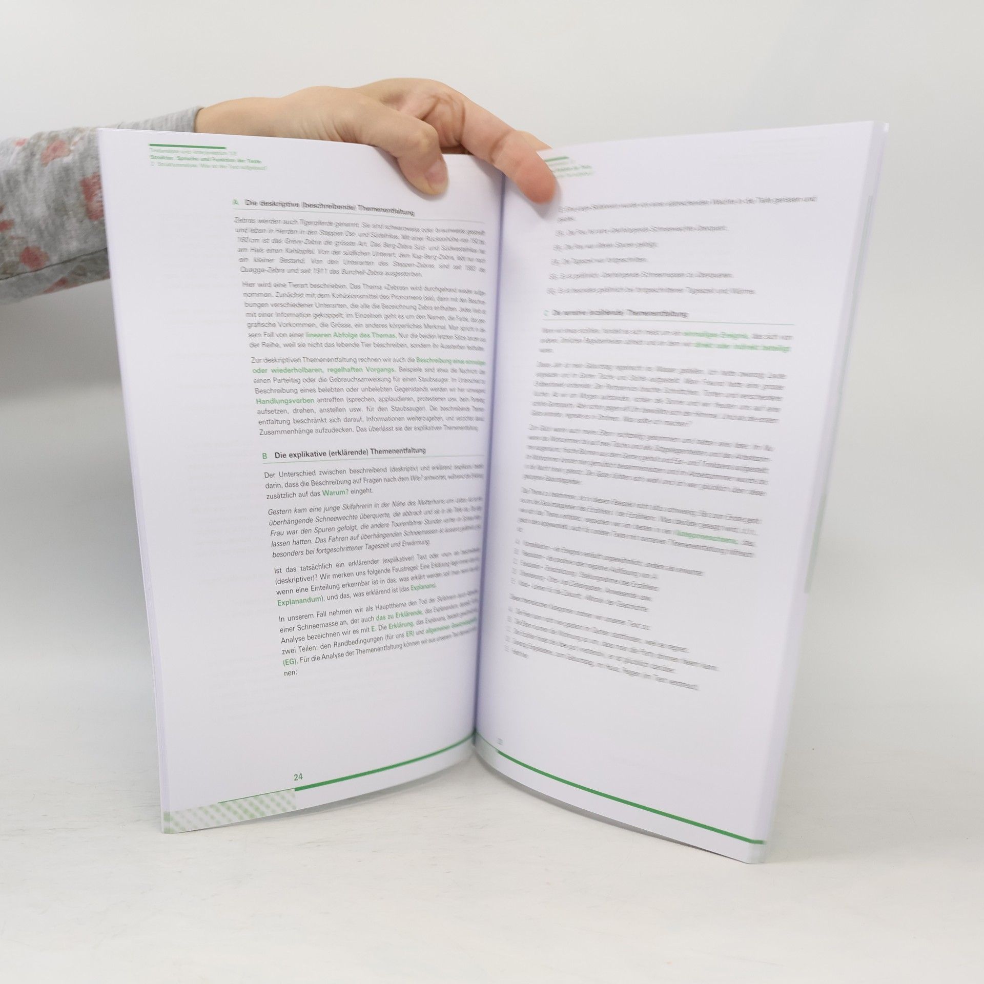 Struktur, Sprache und Funktion der Texte