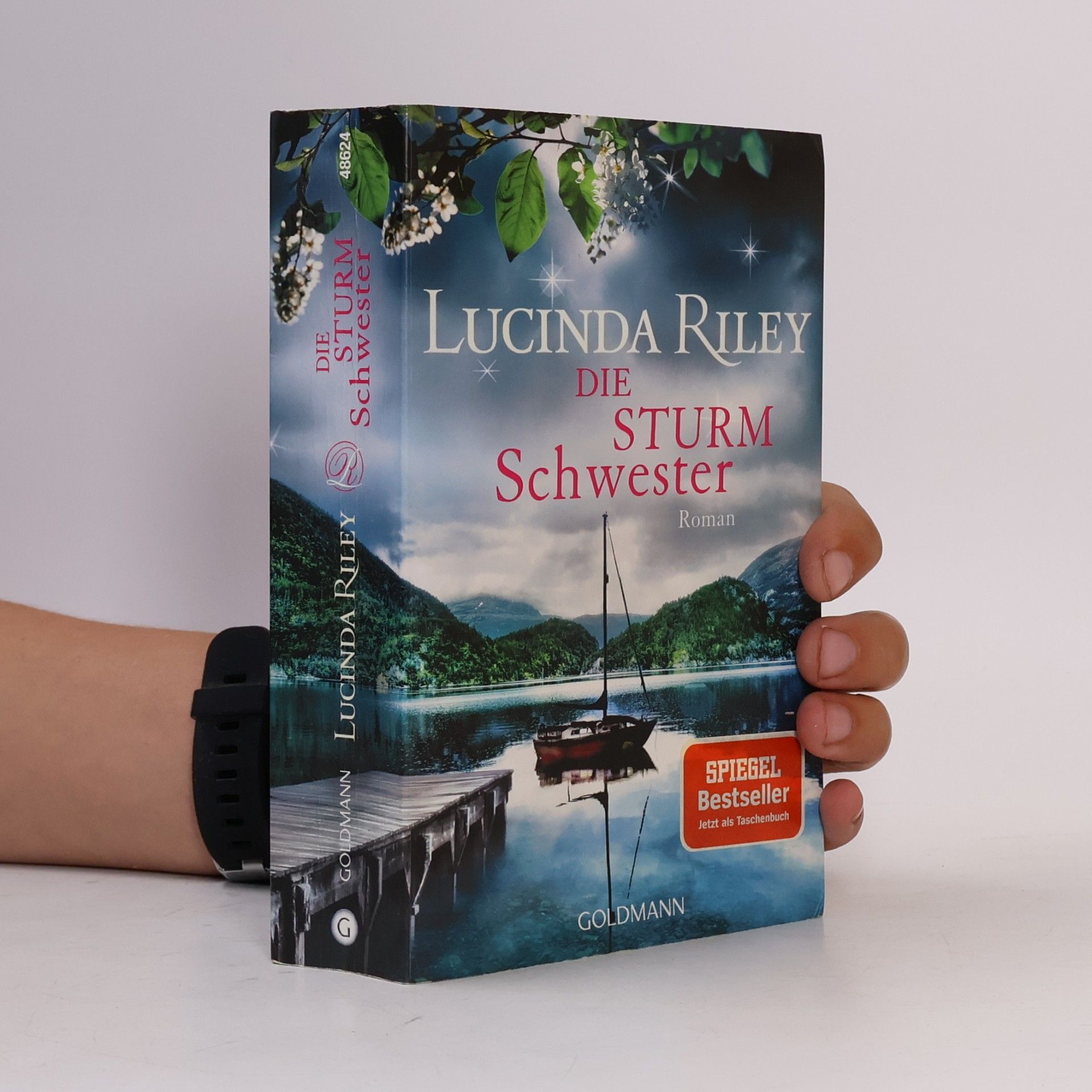 Lucinda Riley Die Sturmschwester