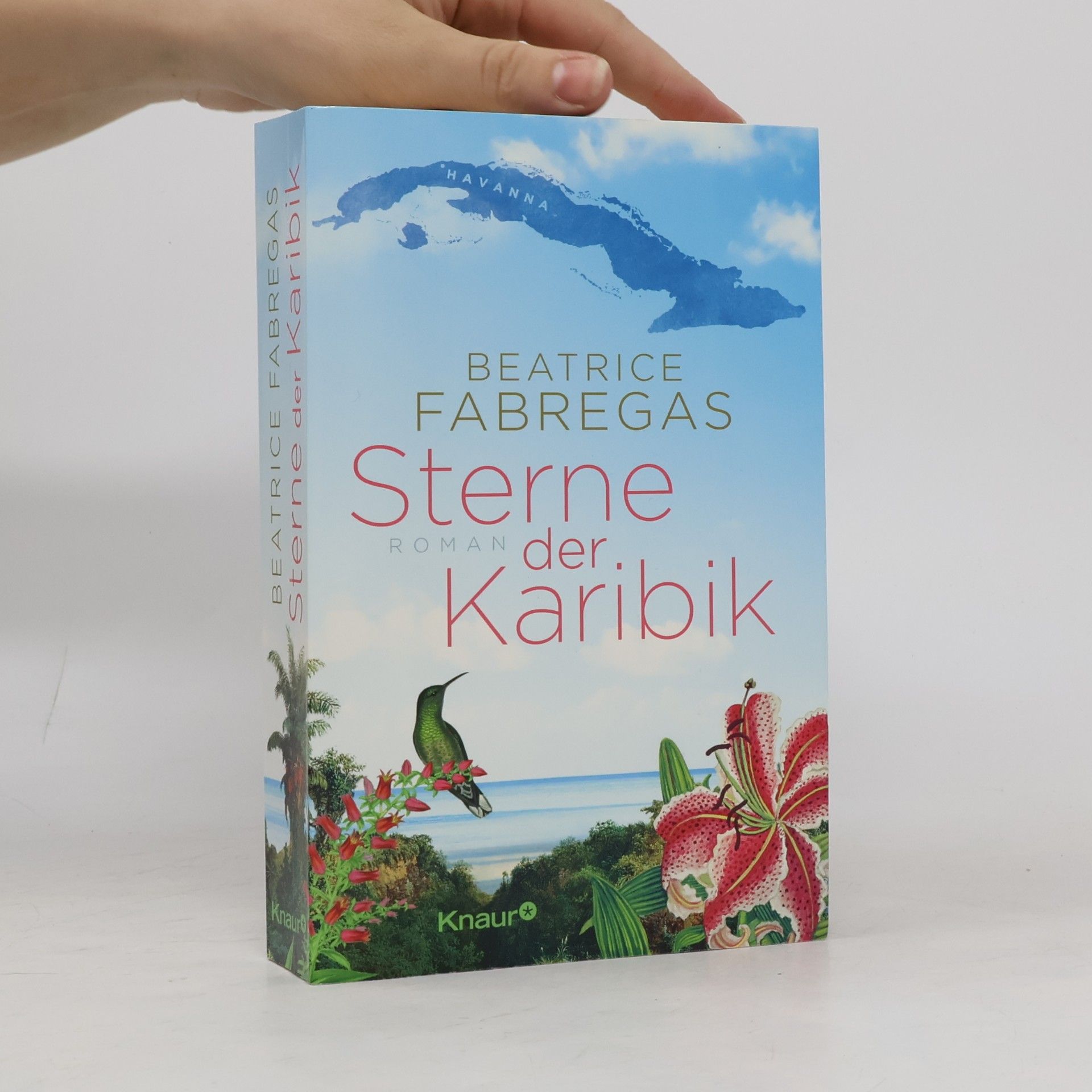 Beatrice Fabregas Sterne der Karibik