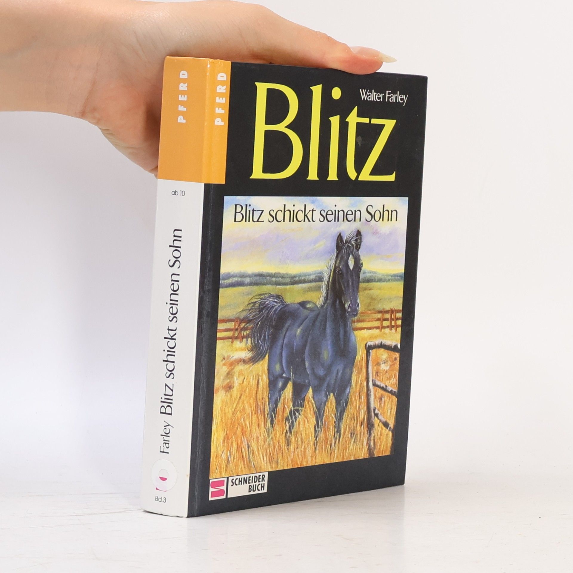 Walter Farley Blitz schickt seinen Sohn