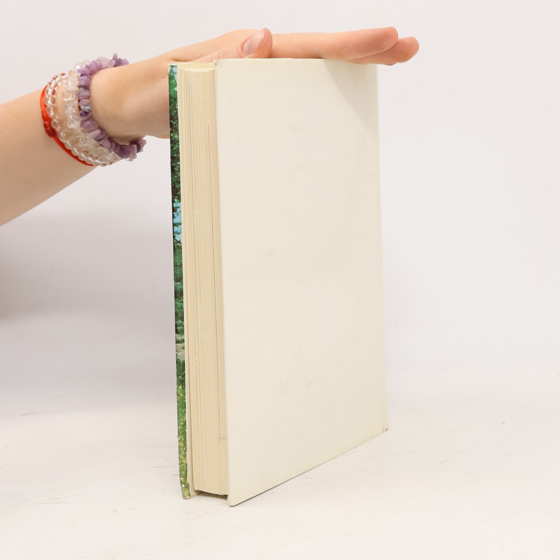 Lothar von Drasenovich Lärchenholz und Lodeng'wand