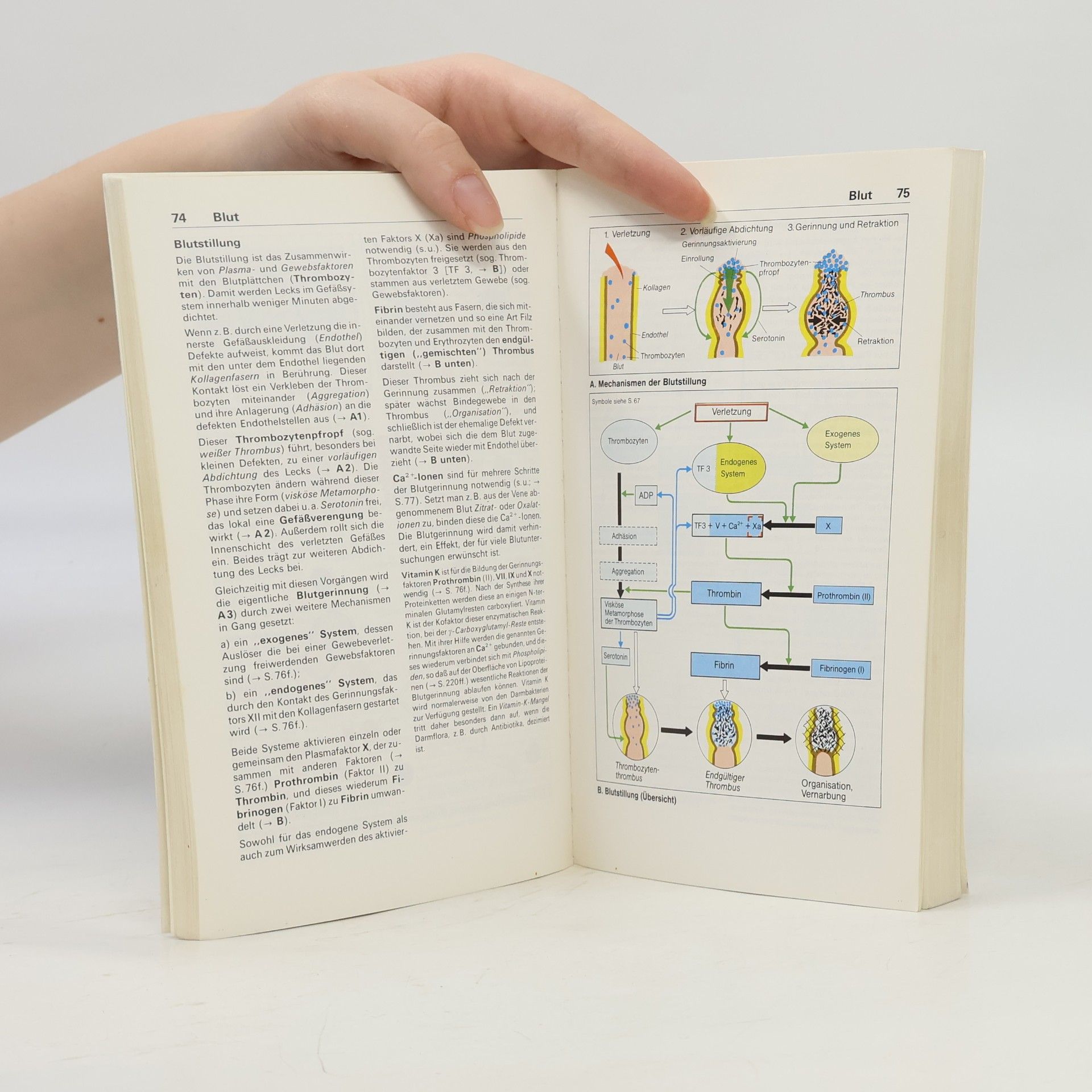Stefan Silbernagl Taschenatlas der Physiologie