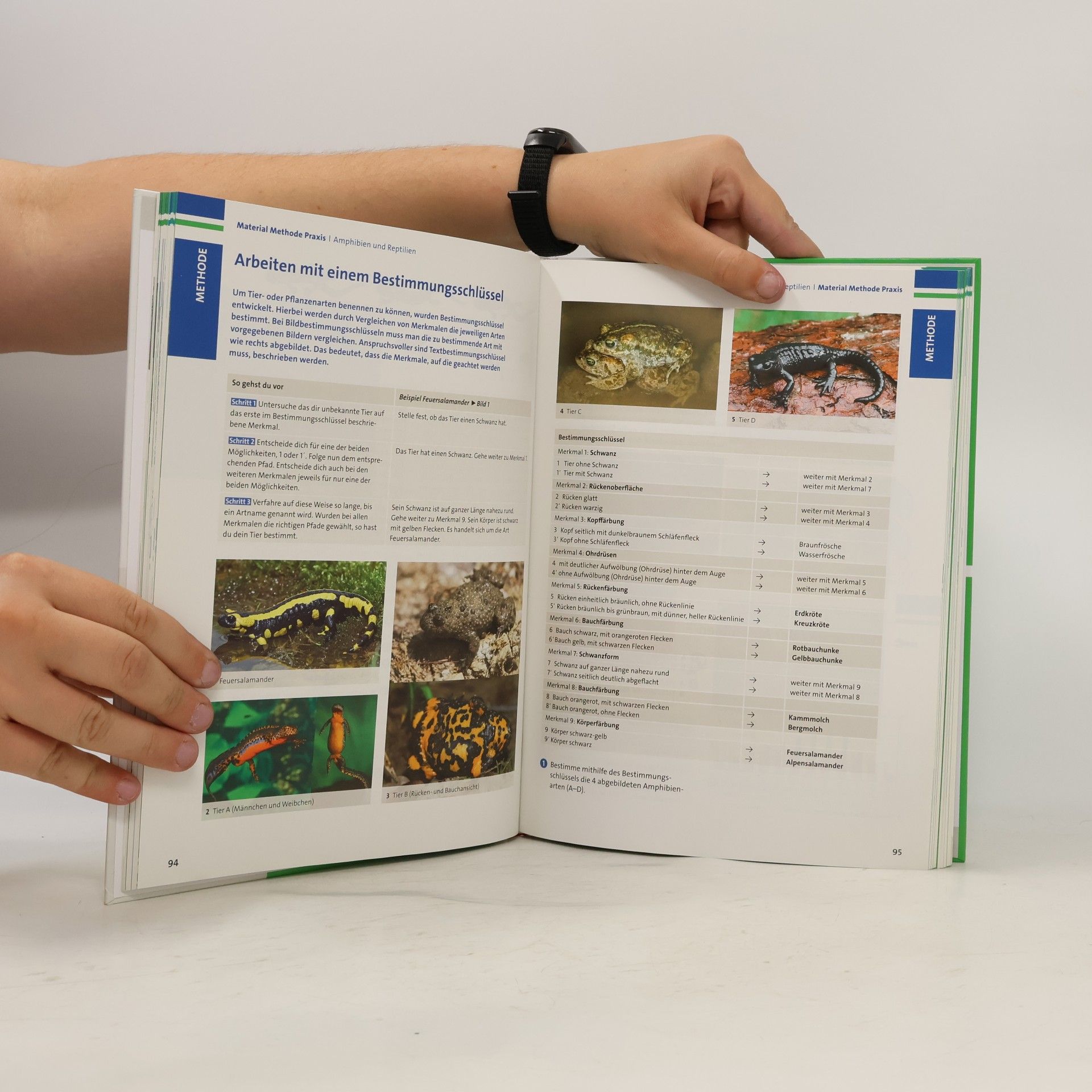 Stefan Burzin Fokus Biologie 5./6. Schuljahr. Schülerbuch Baden-Württemberg
