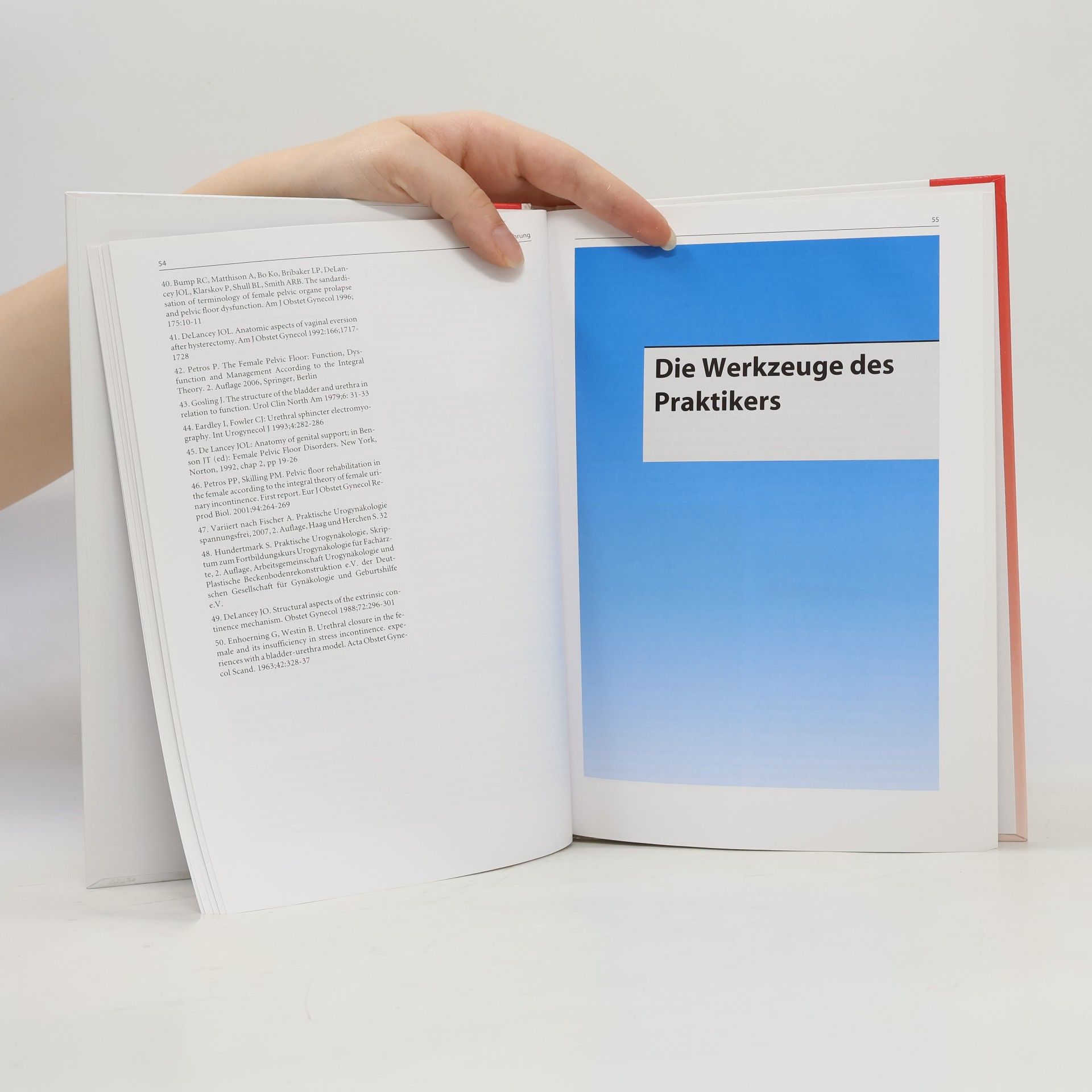 Sven Jürgensen Der weibliche Beckenboden - Inkontinenz, Deszensus, Sexualität