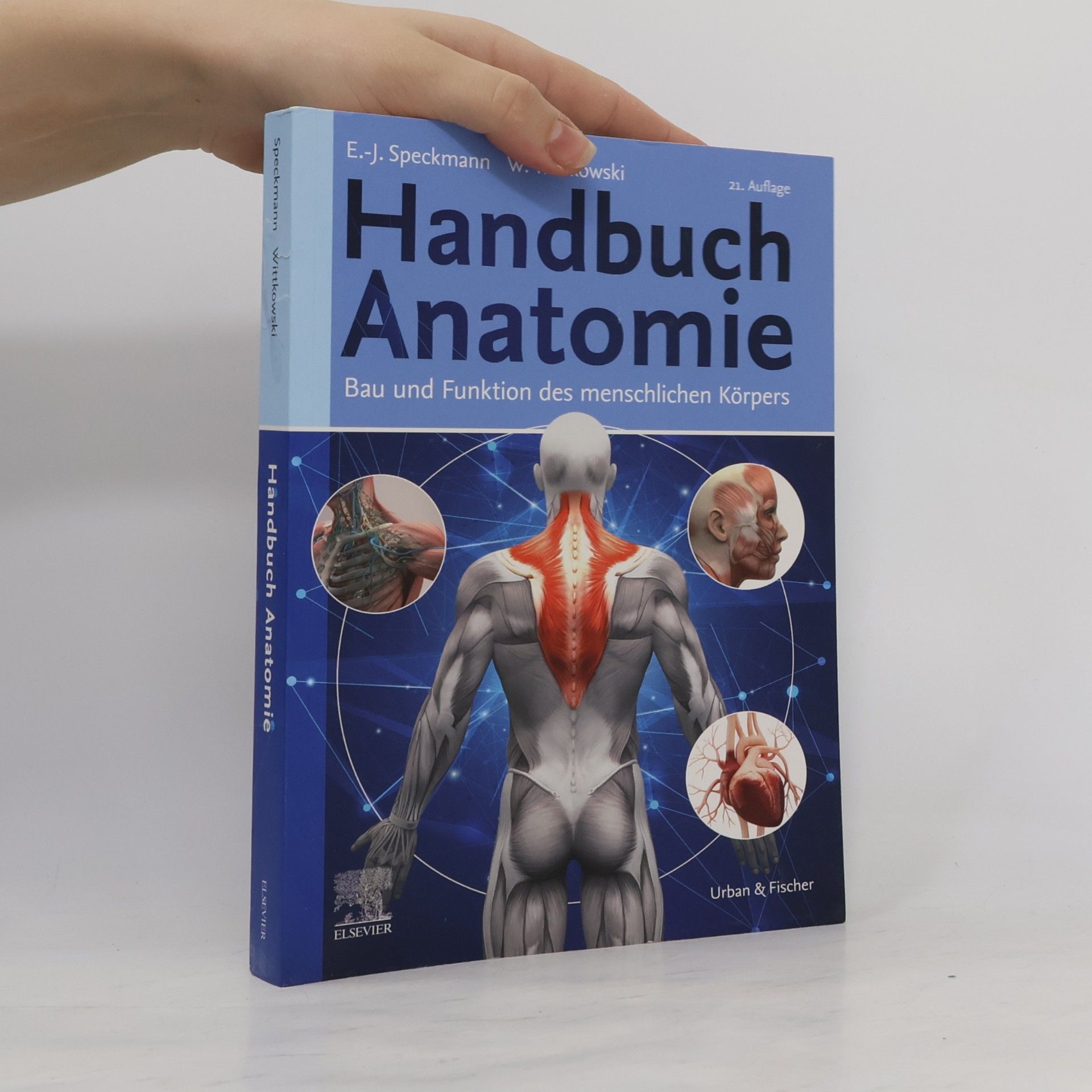 Kolektiv autorů Handbuch Anatomie