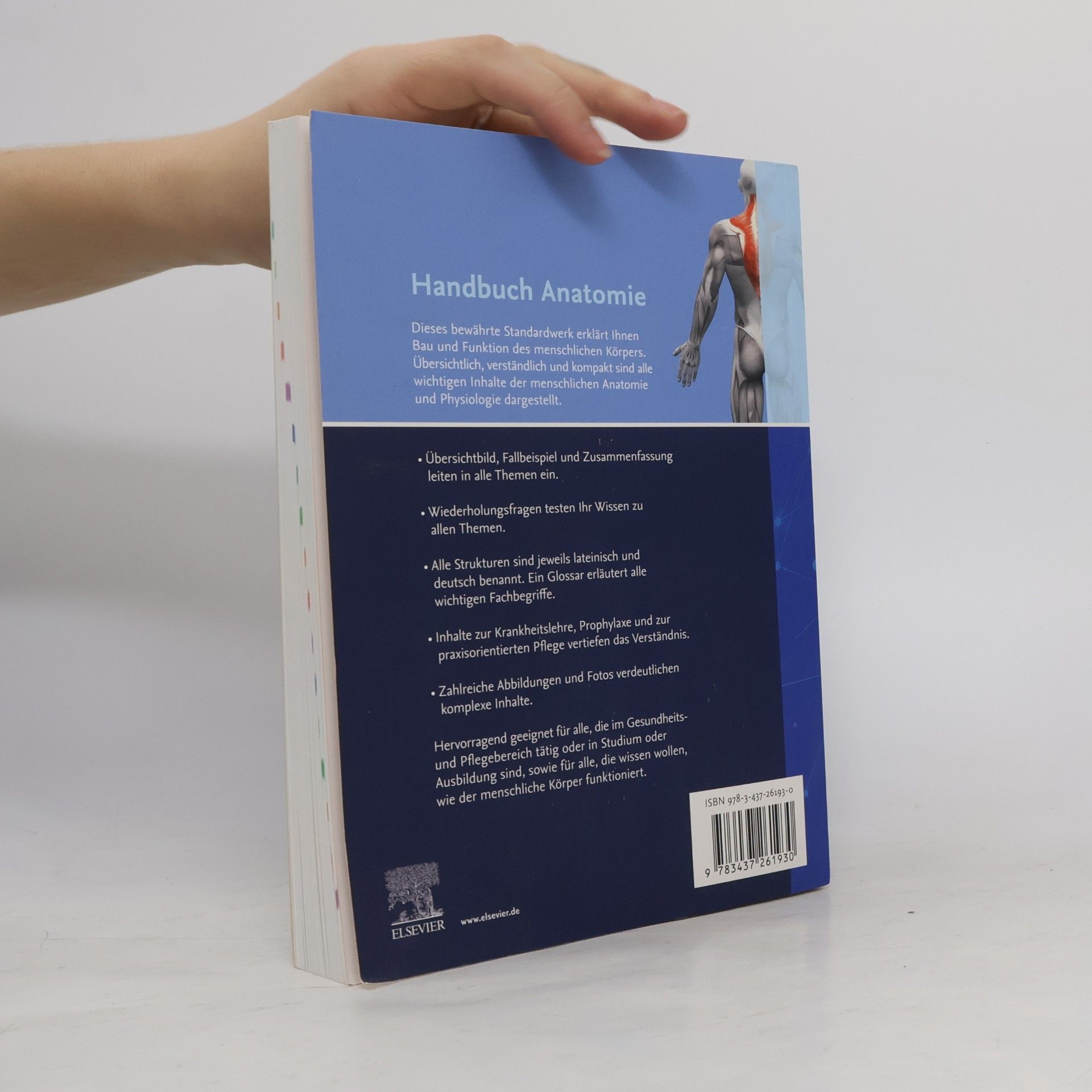 Autorenkollektiv Handbuch Anatomie