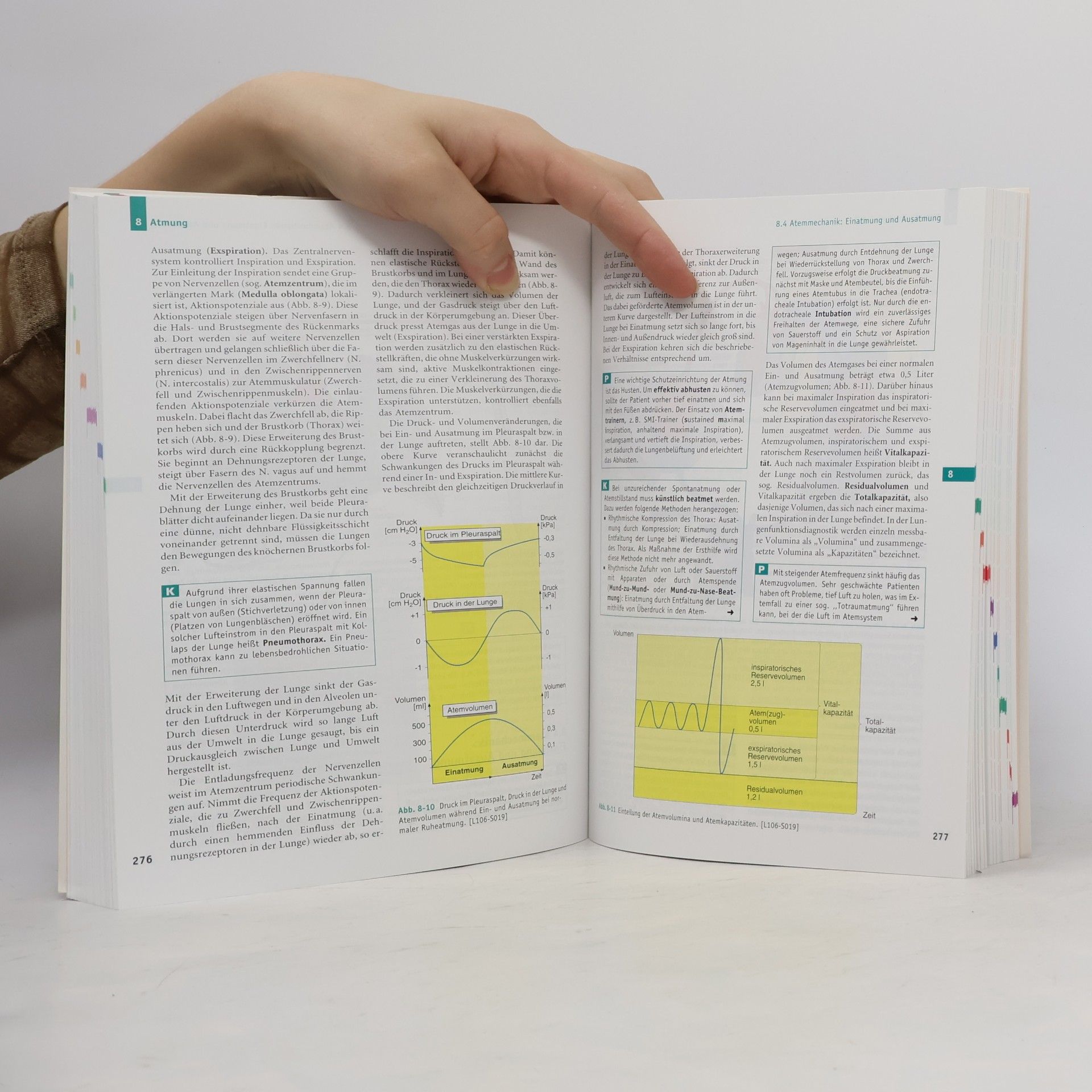 Autorenkollektiv Handbuch Anatomie