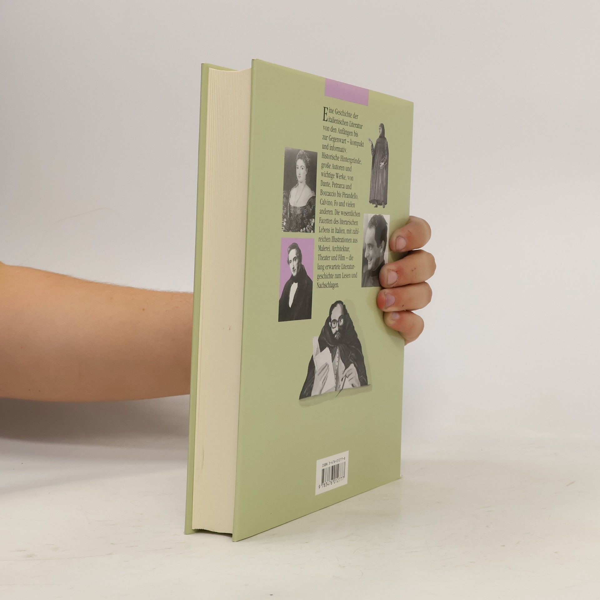 Volker Kapp Italienische Literaturgeschichte