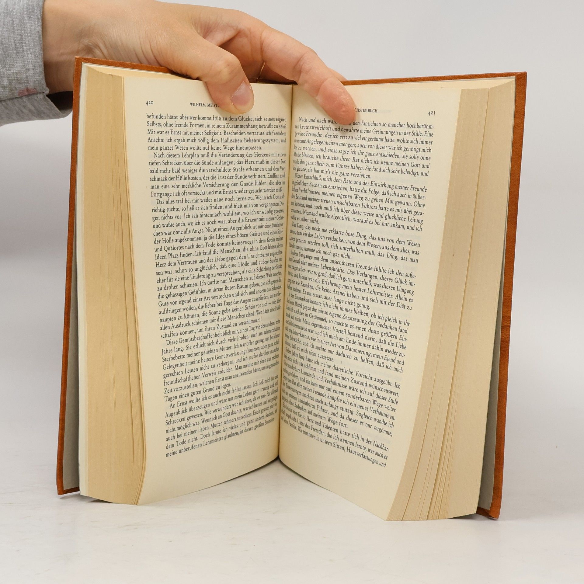 Johann Wolfgang von Goethe Goethe Werke 1