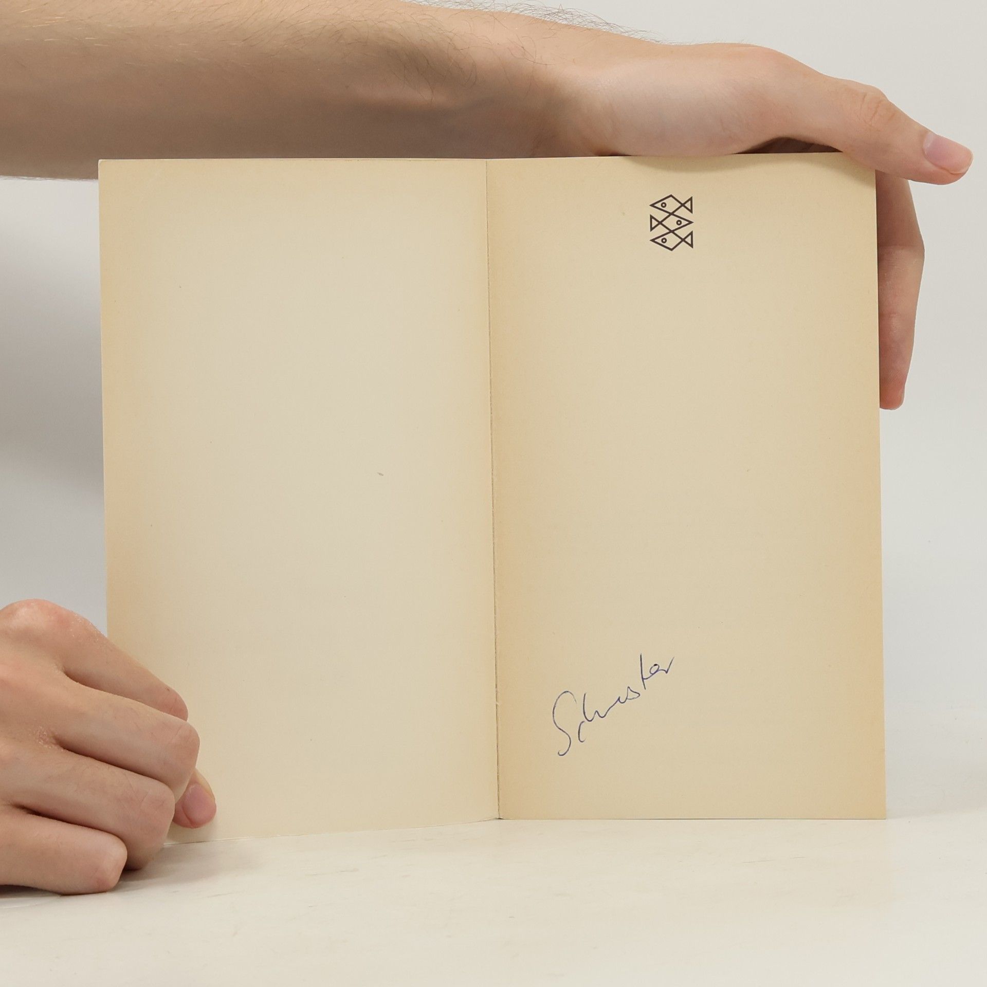 Oriana Fallaci Brief an ein nie geborenes Kind