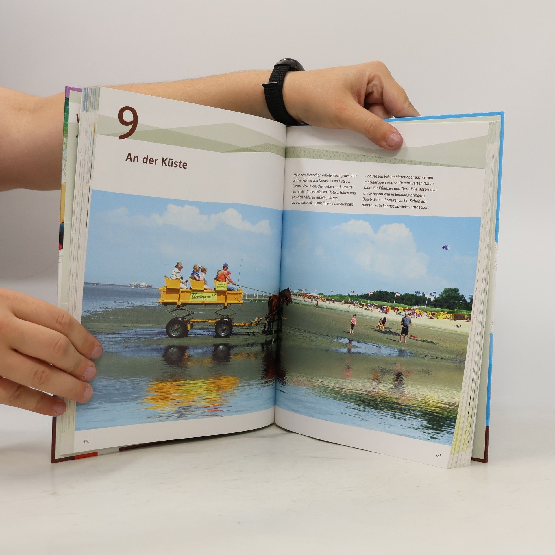 Autorenkollektiv Terra. Geographie 5/6