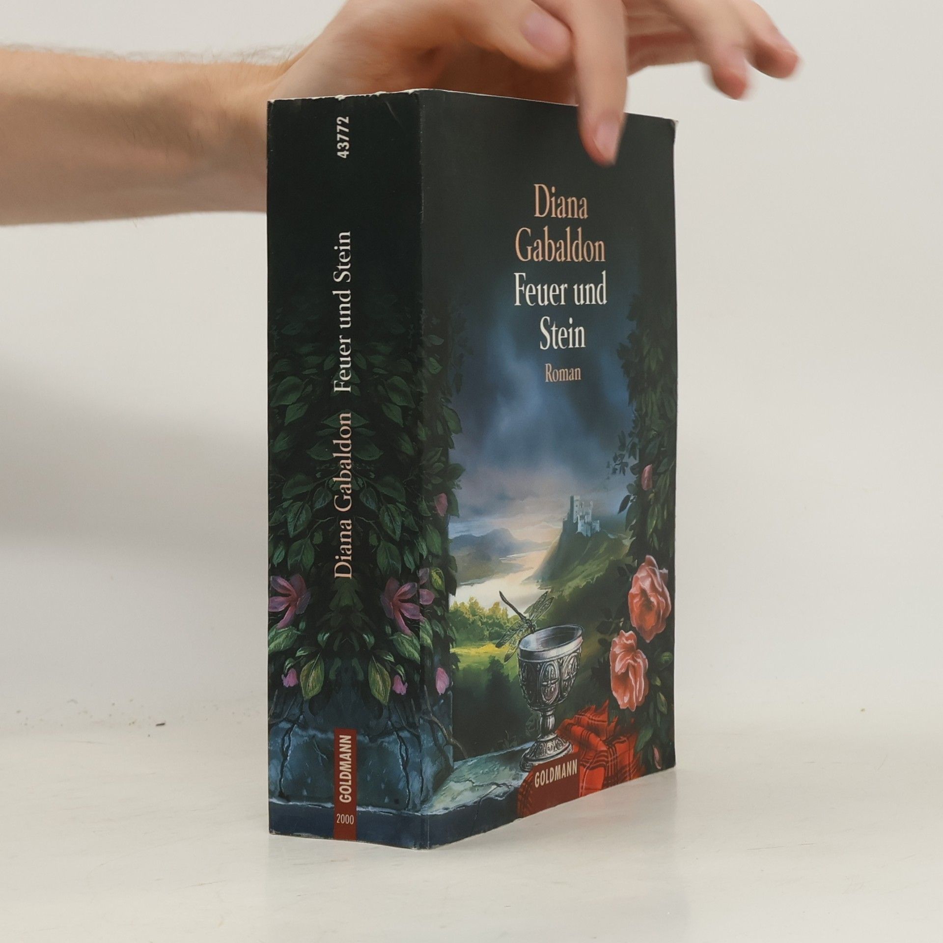 Diana Gabaldon Feuer und Stein