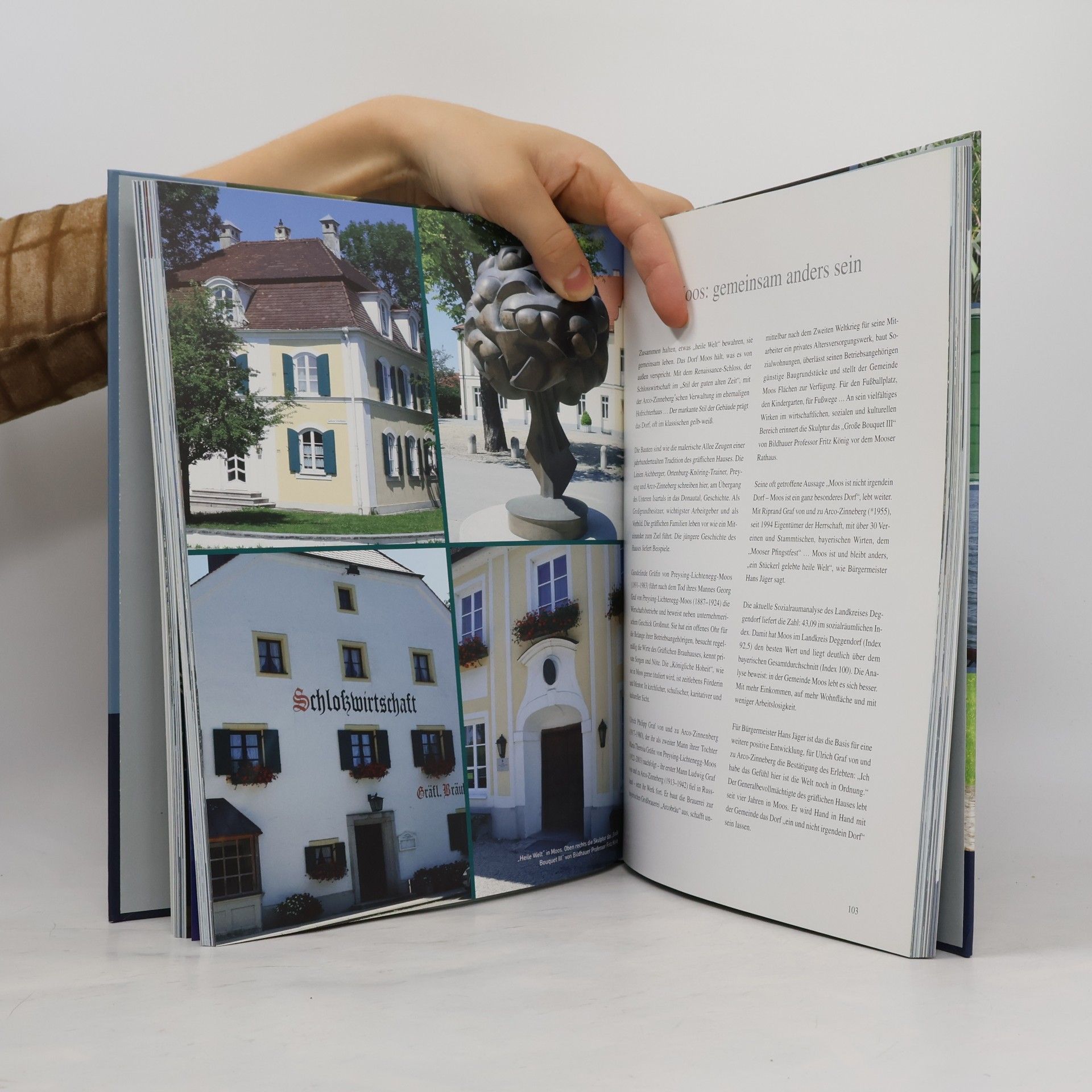 Constanze Müller Das bayerisch-österreichische Donauengtal