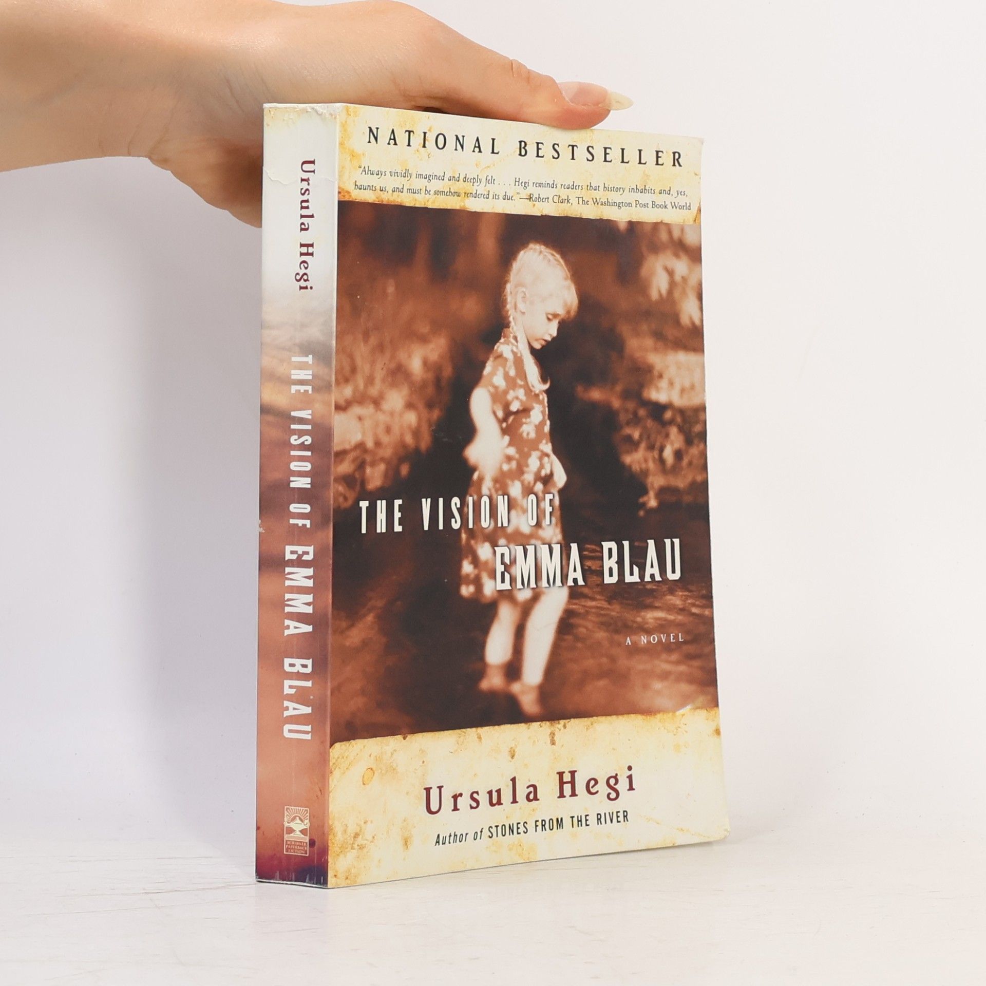 Ursula Hegi The Vision of Emma Blau