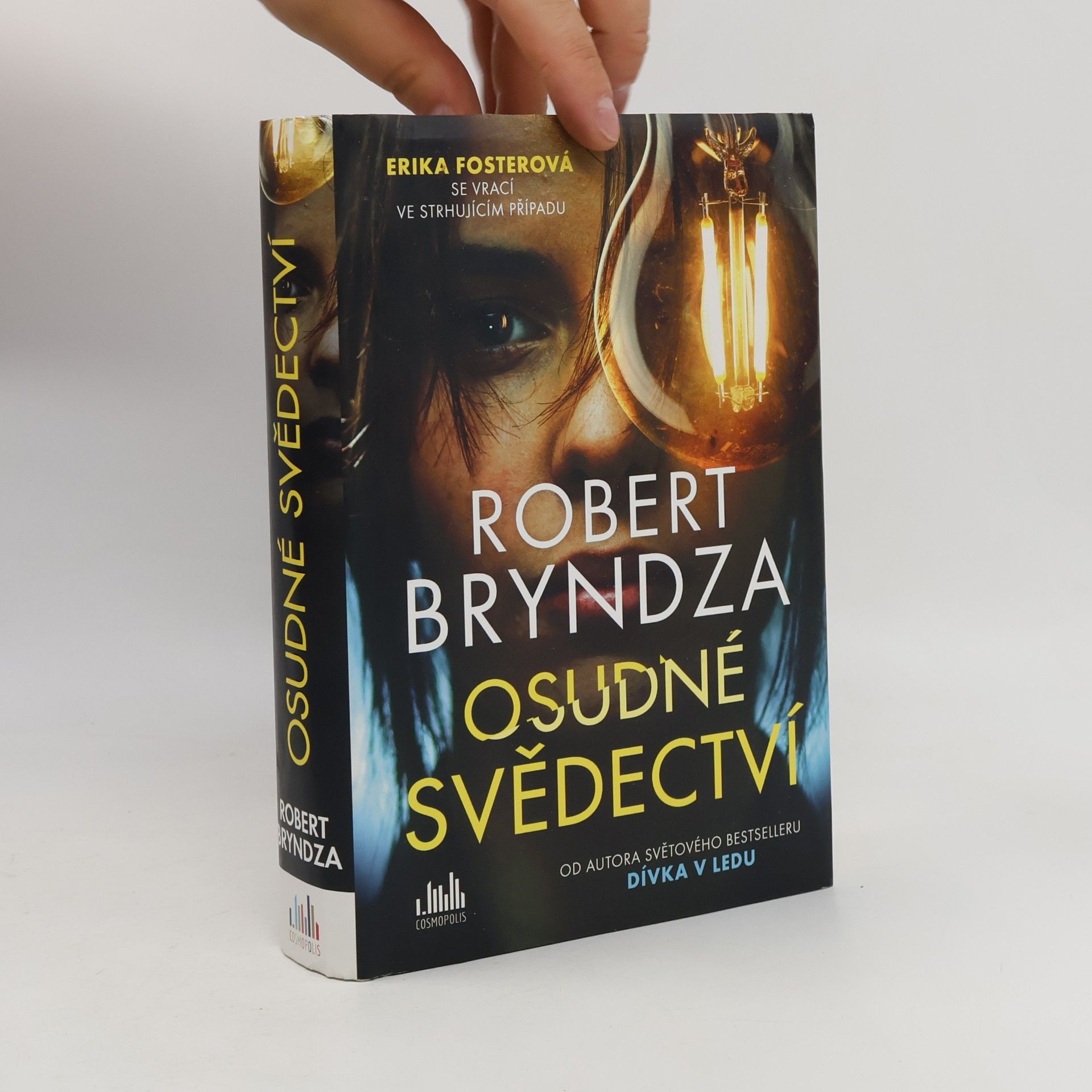 Robert Bryndza Osudné svědectví