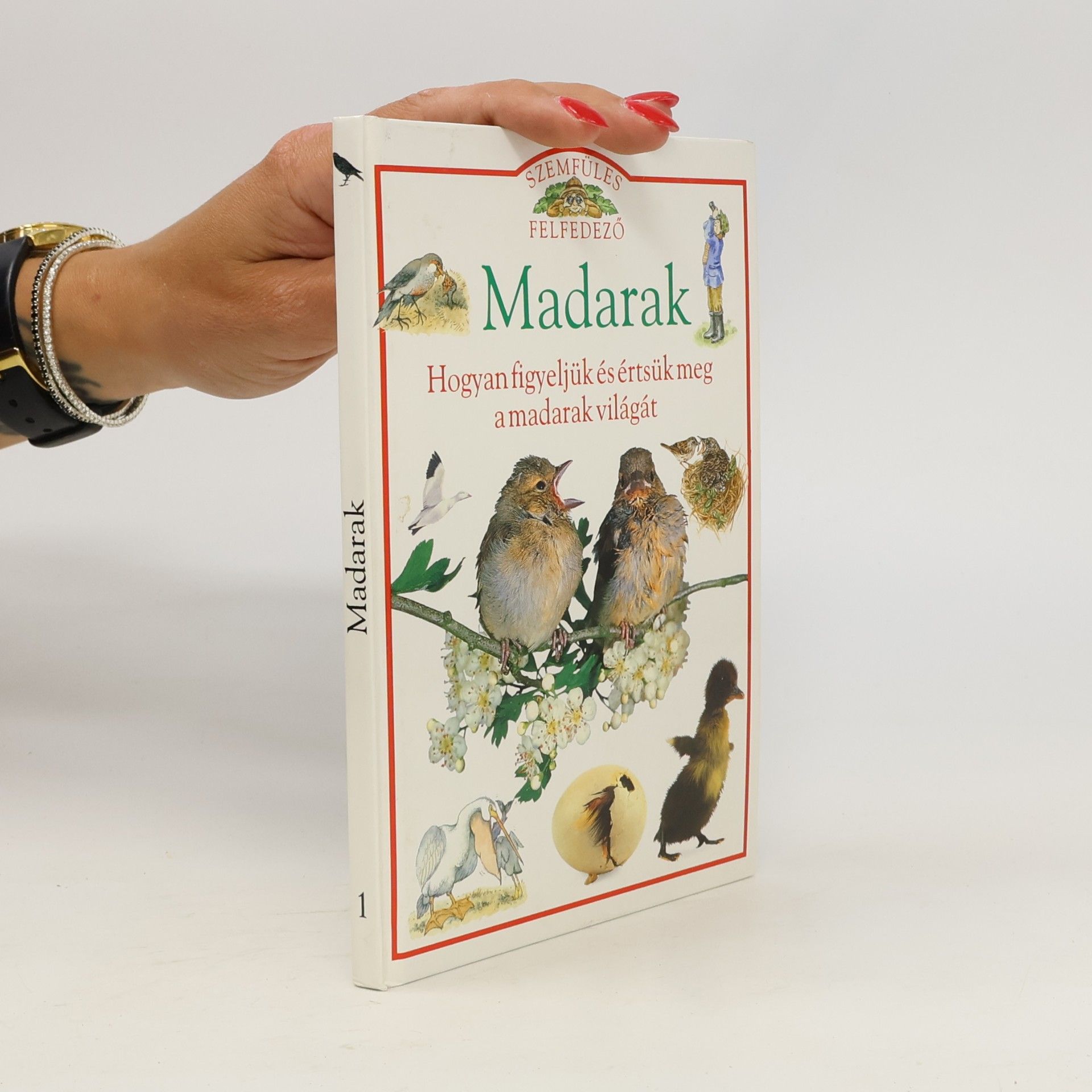 Madarak