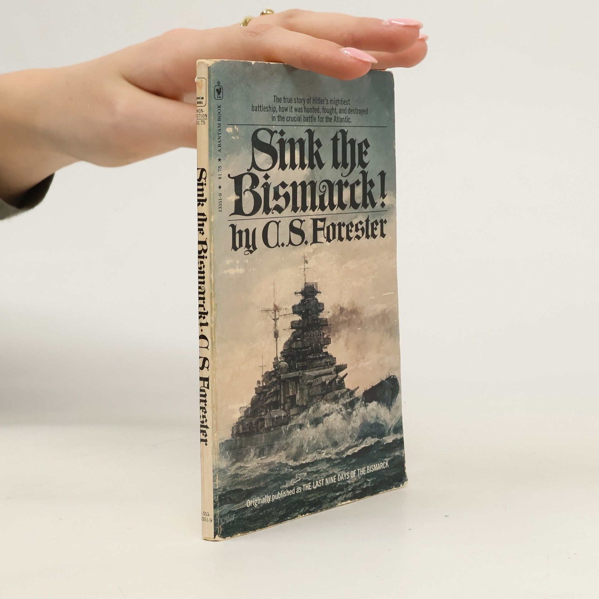 Sink the Bismarck!