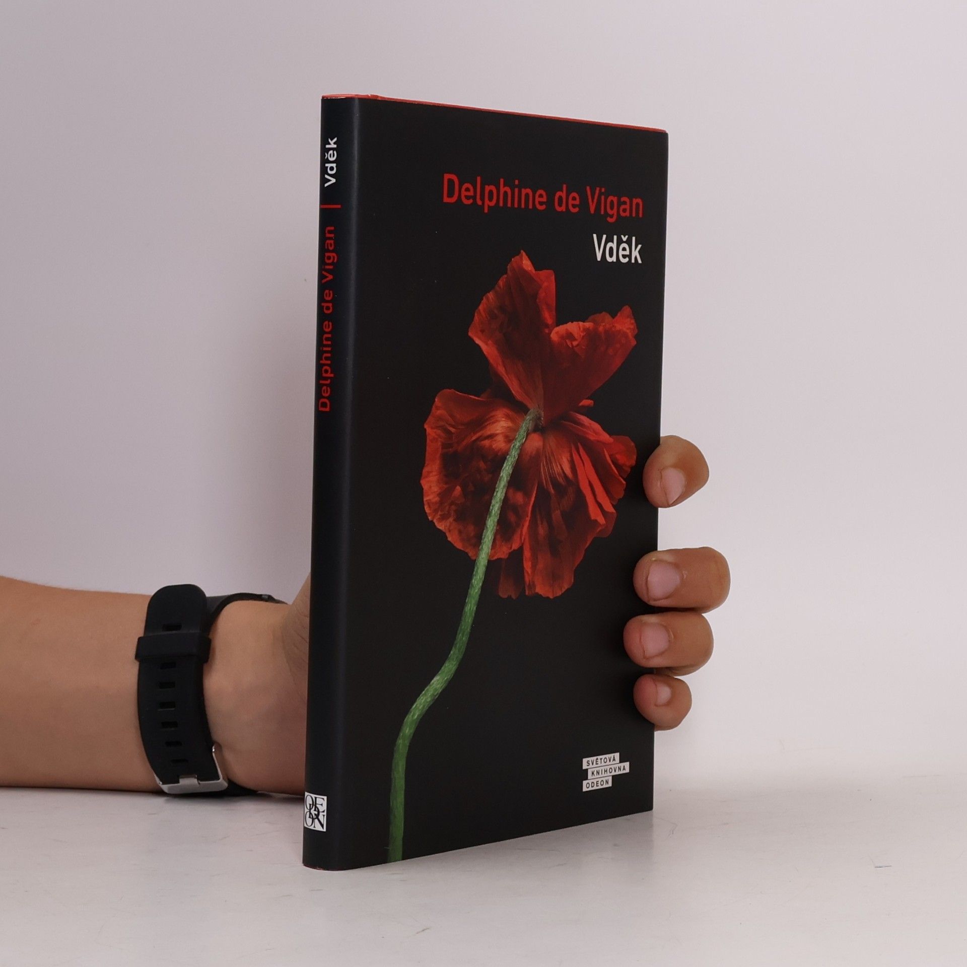 Delphine de Vigan Vděk
