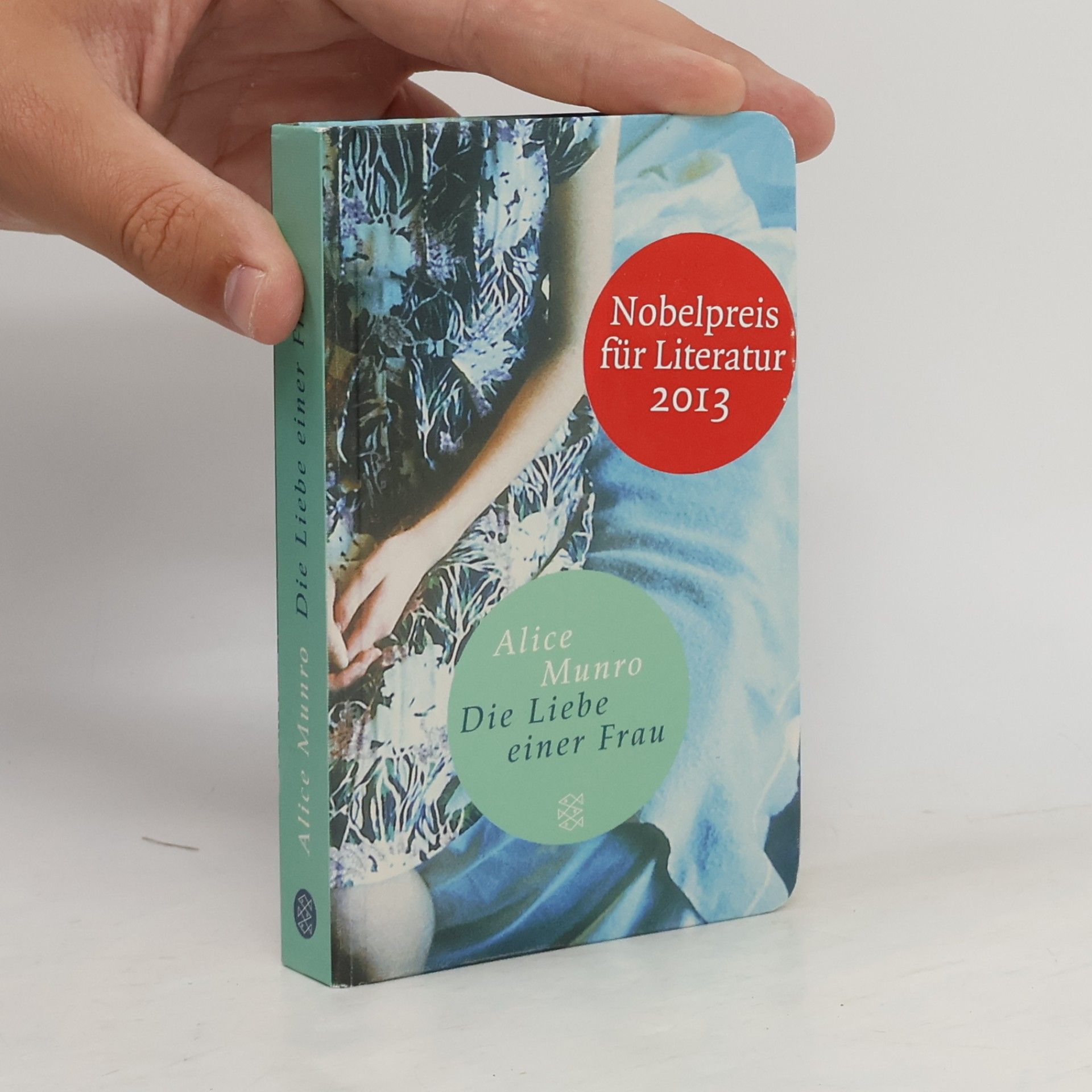 Alice Munro Die Liebe einer Frau