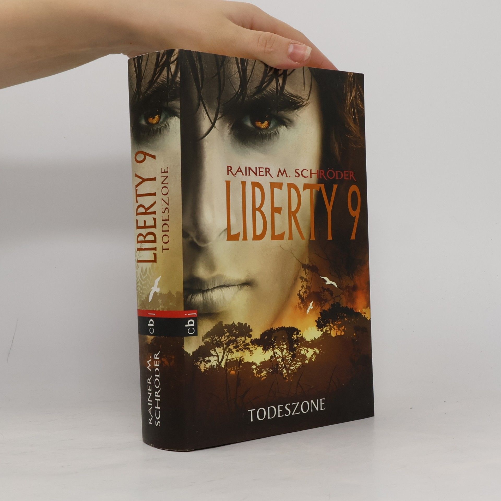 Rainer M. Schröder Liberty 9 - Todeszone