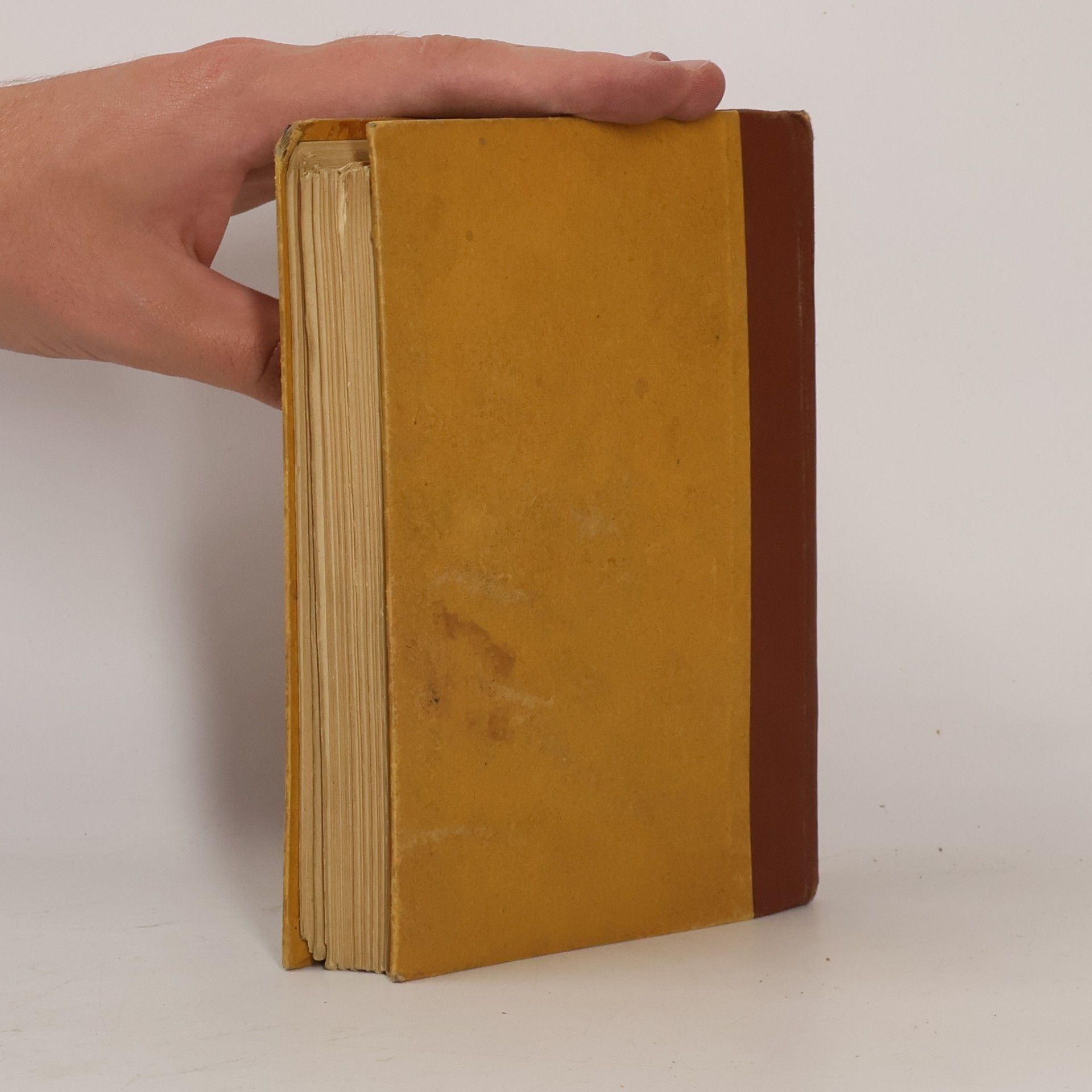 Alexandre Dumas der Ältere Dáma z Monsoreau