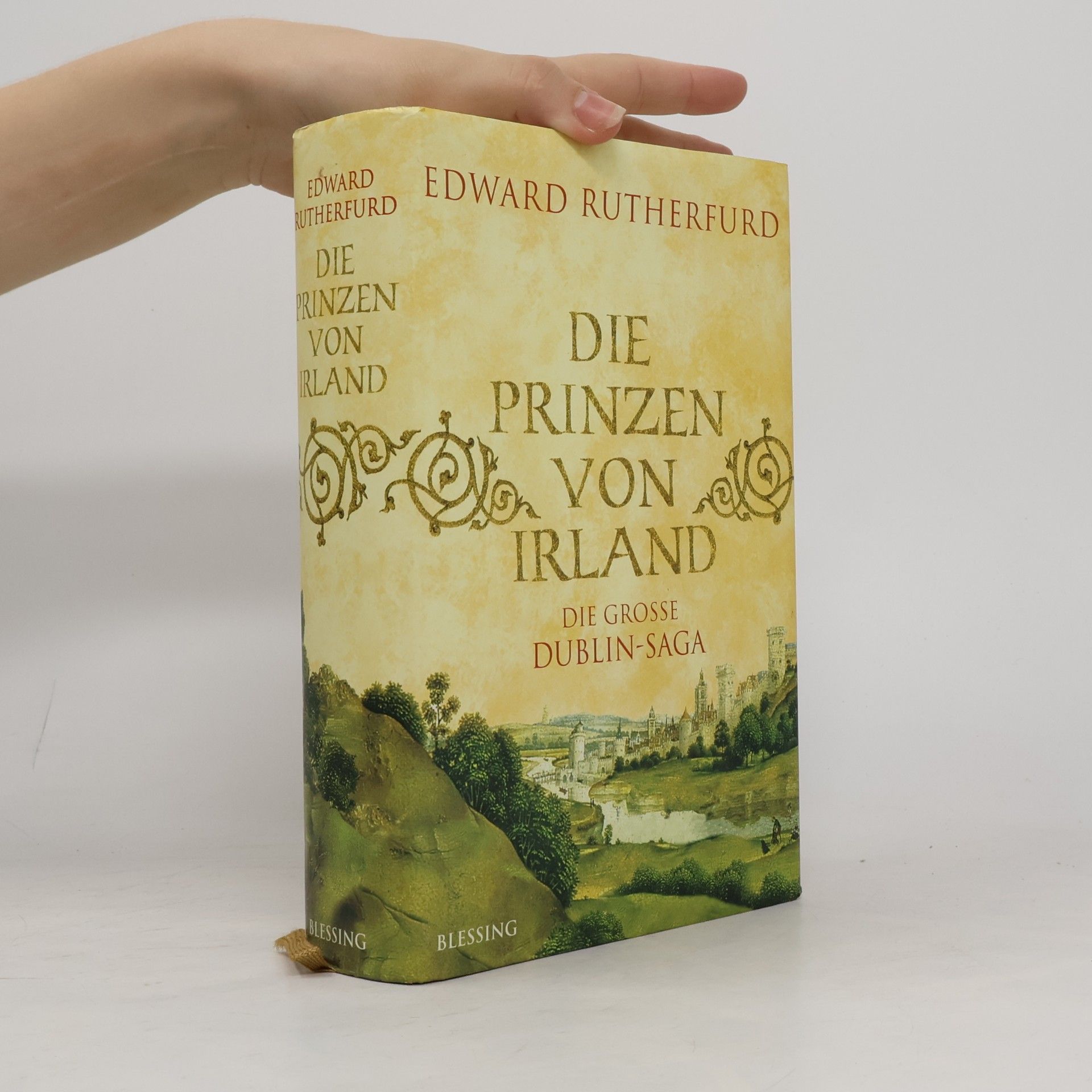 Die große Dublin-Saga 2. Die Prinzen von Irland