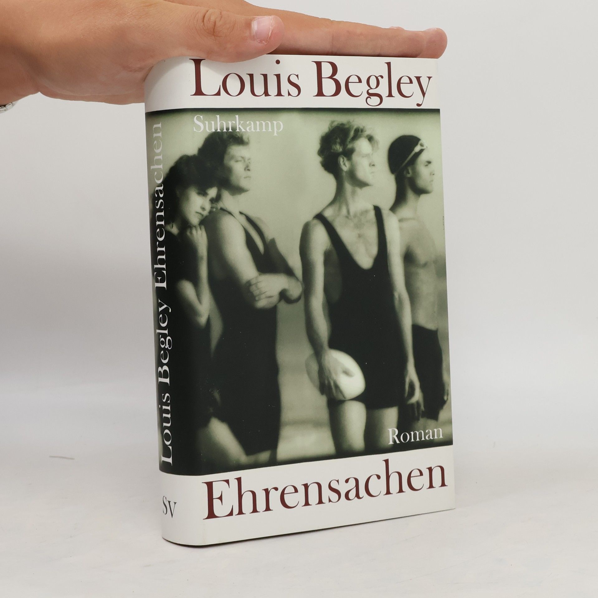 Louis Begley Ehrensachen