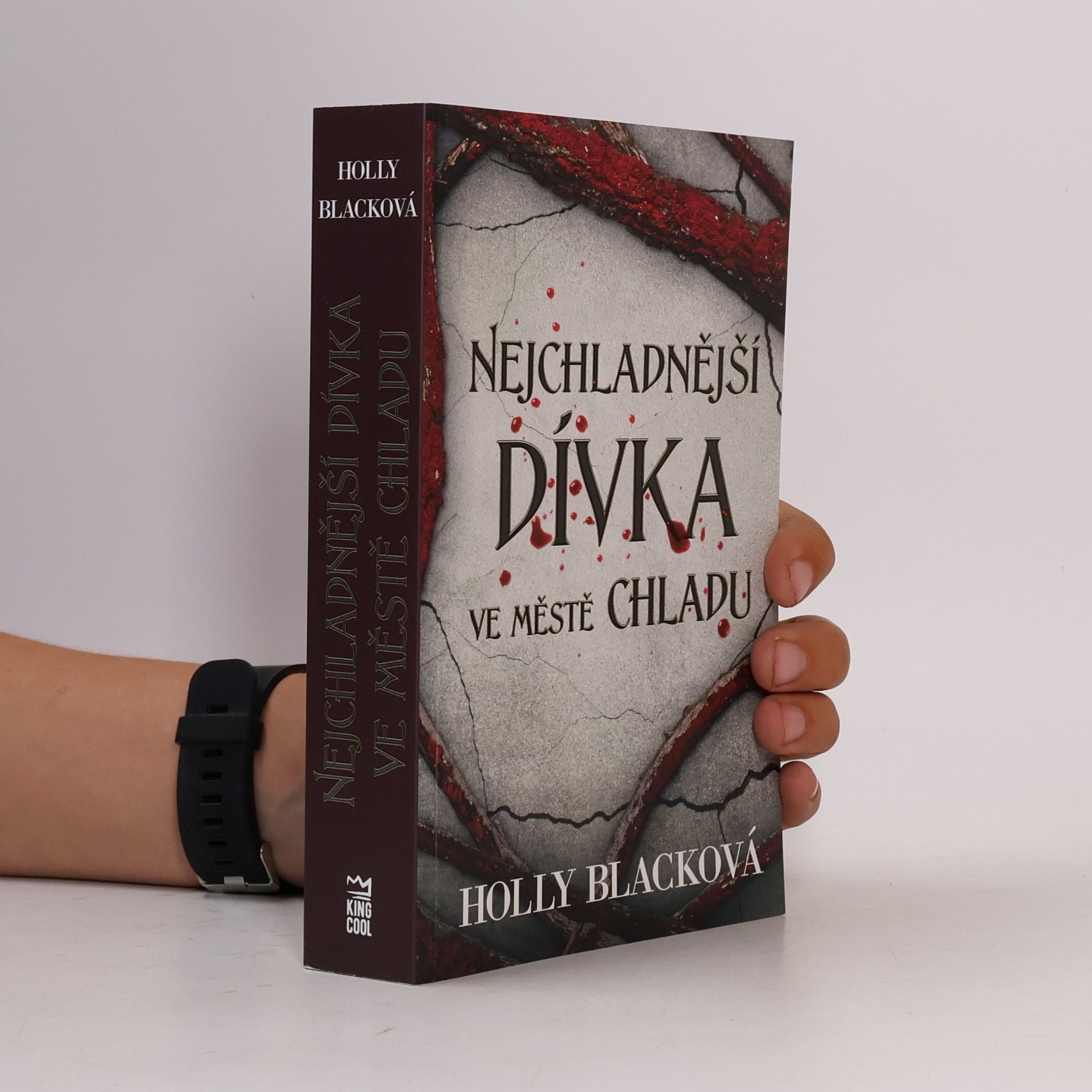 Holly Black Nejchladnější dívka ve městě chladu