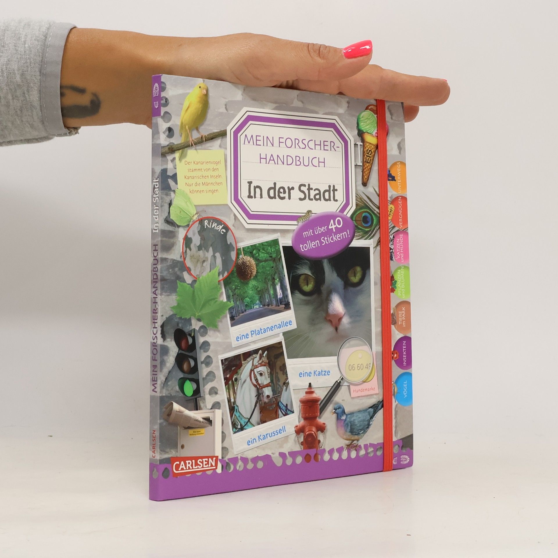 Ingrun Wimmer Mein Forscher-Handbuch - in der Stadt