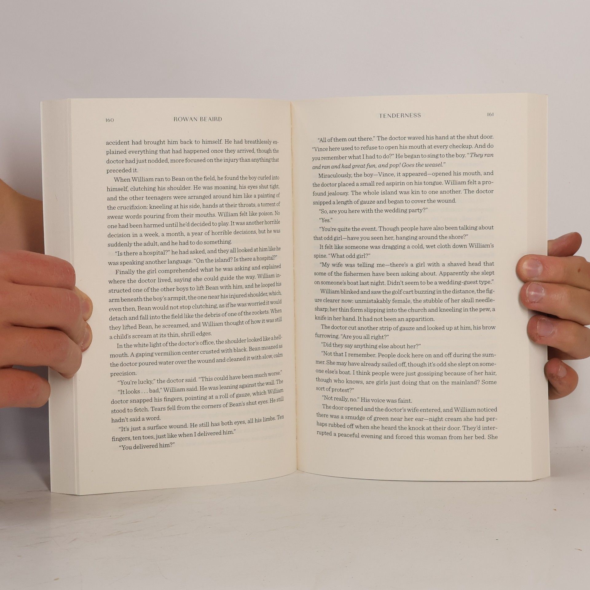 Rowan Beaird Tenderness: From the lauded author of The Divorcees, a story of love, liars and secrets, set on an island over a wedding weekend