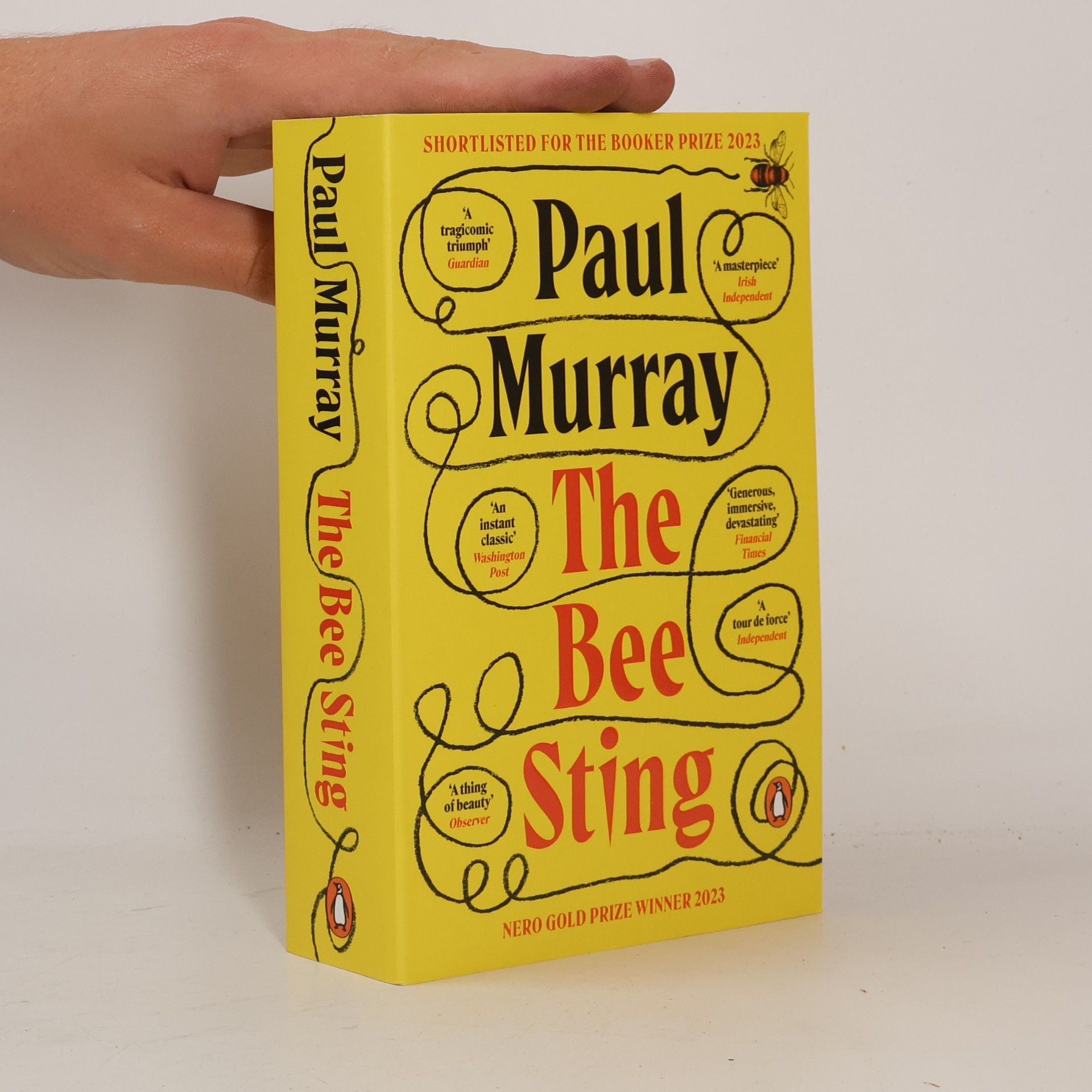 Paul Murray The Bee Sting: Shortlisted for the Booker Prize 2023