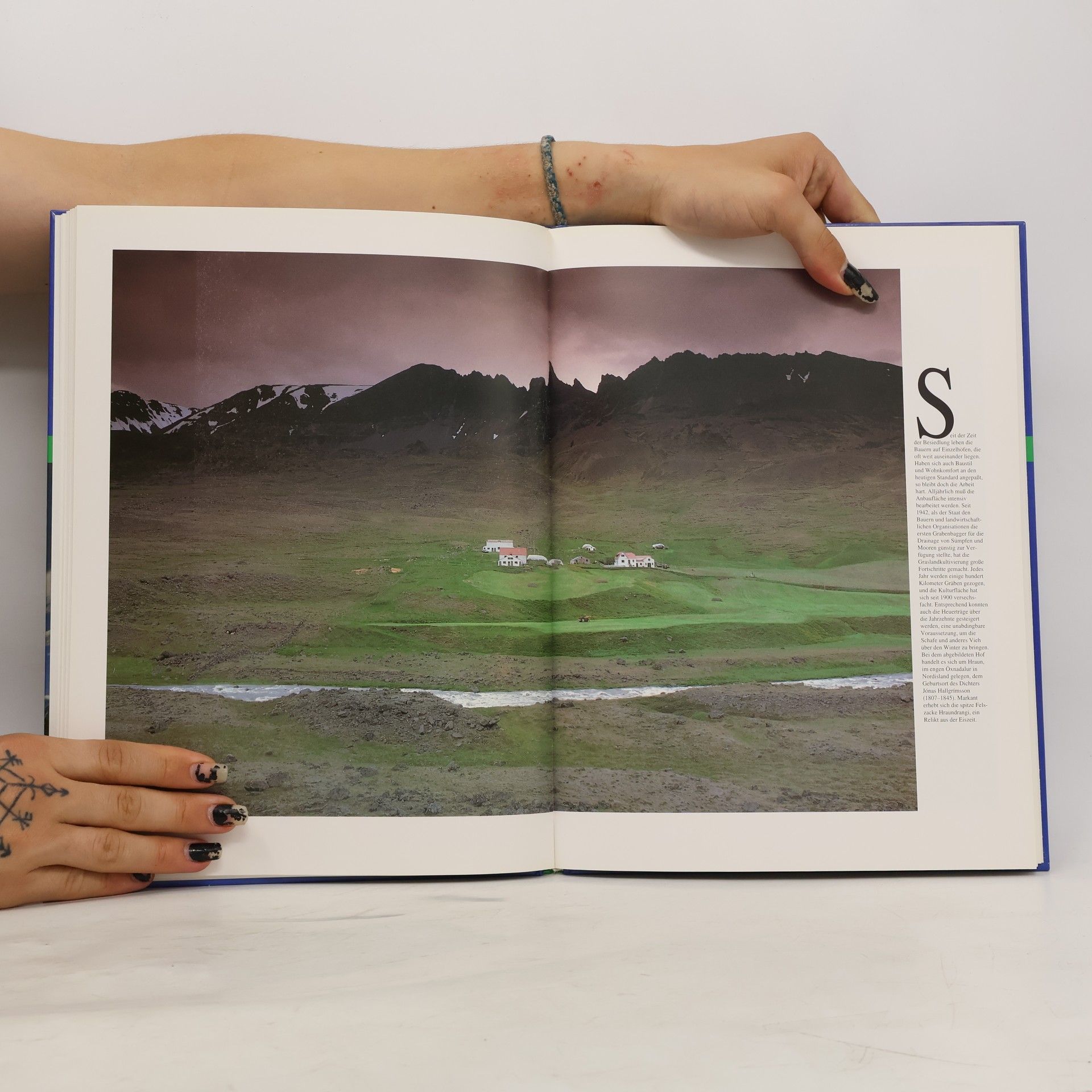 Sabine Barth Island