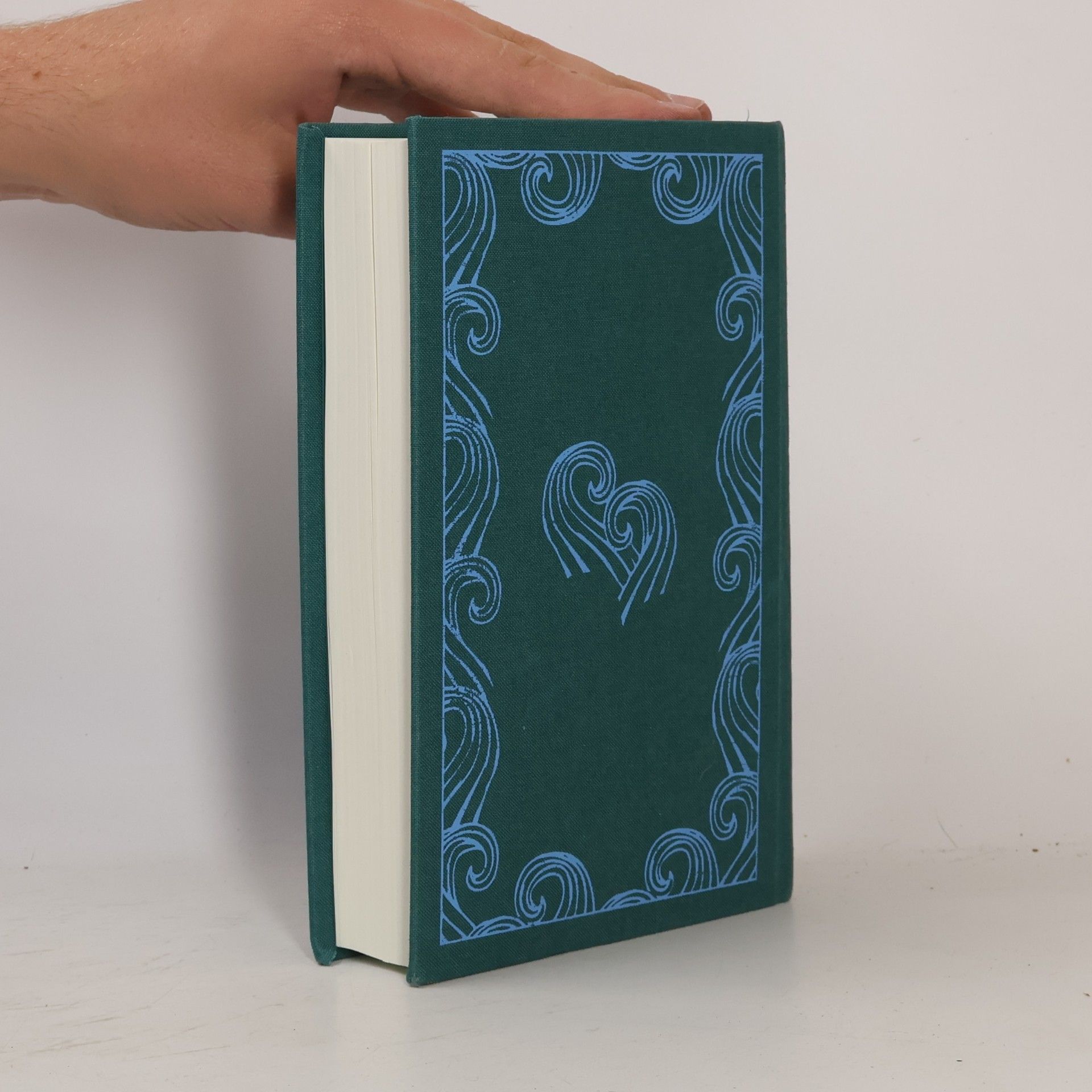 Homér The Odyssey. Odyssee, englische Ausgabe
