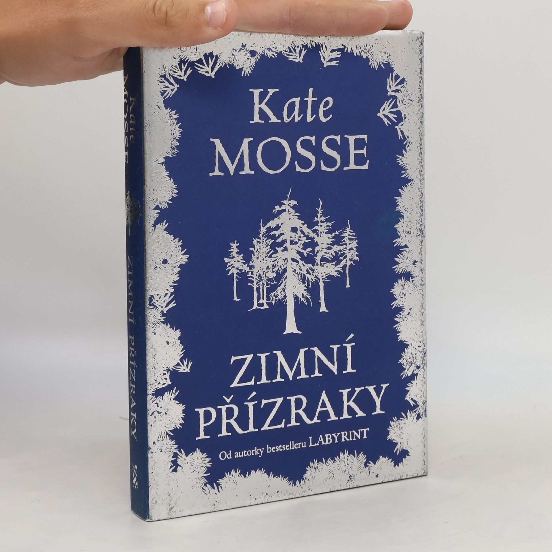 Kate Mosse Zimní přízraky
