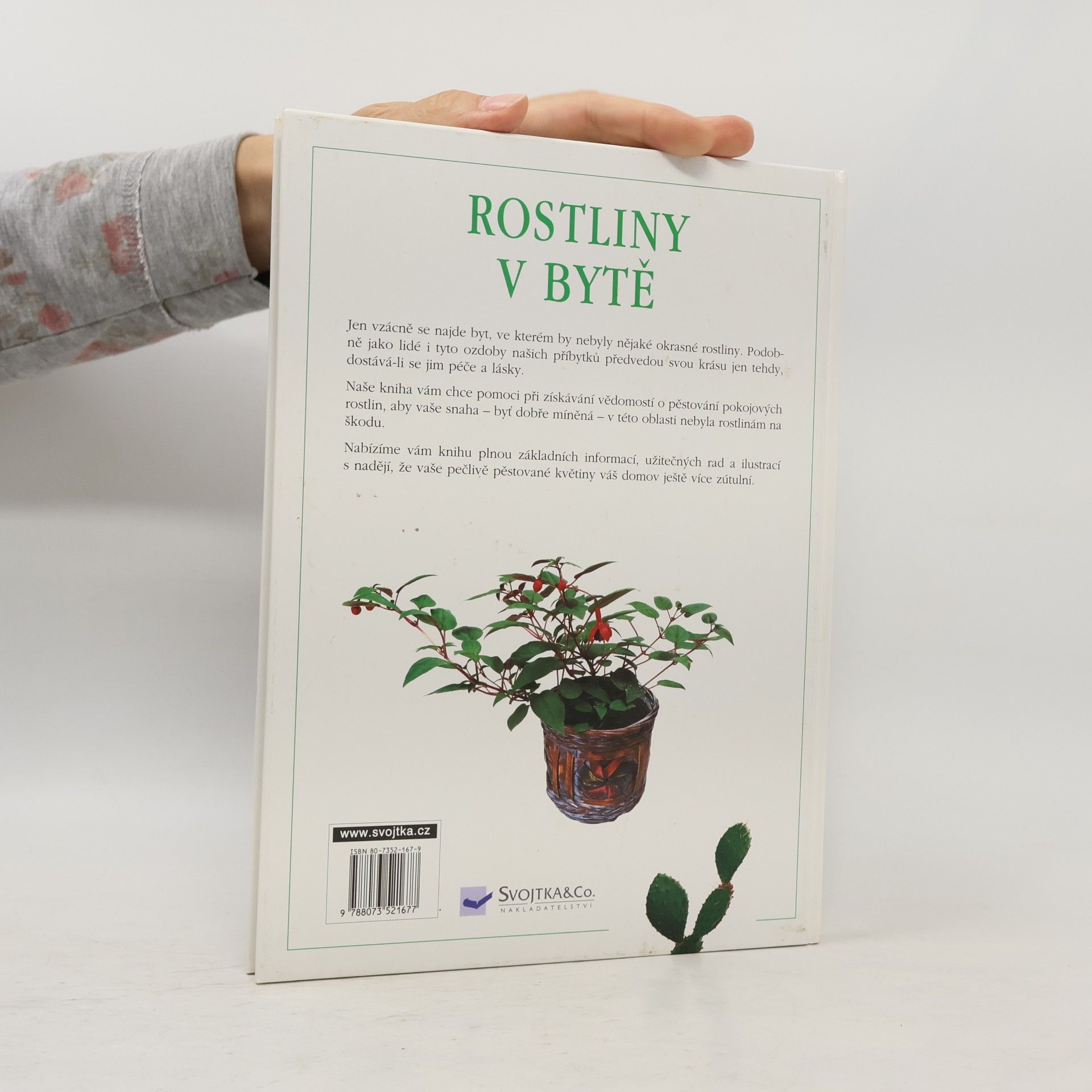 Kolektiv autorů Rostliny v bytě. Pokojové rostliny