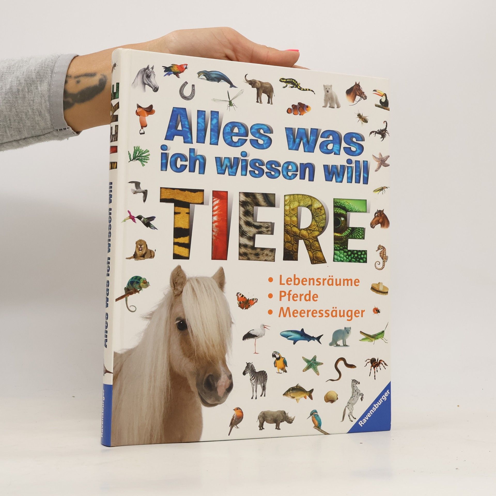 Autorenkollektiv Alles was ich wissen will: Tiere