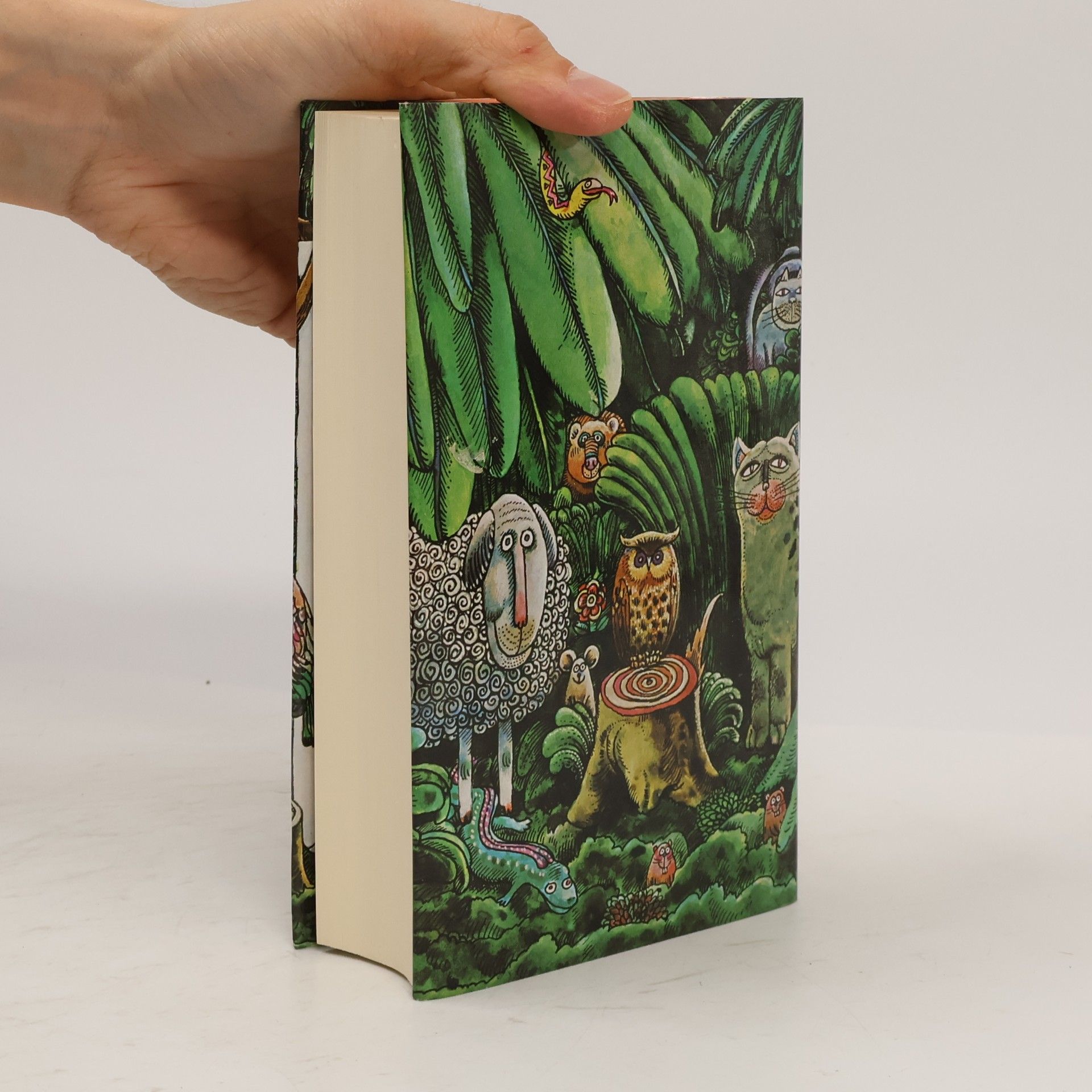 Manfred Kyber Das Manfred Kyber Buch