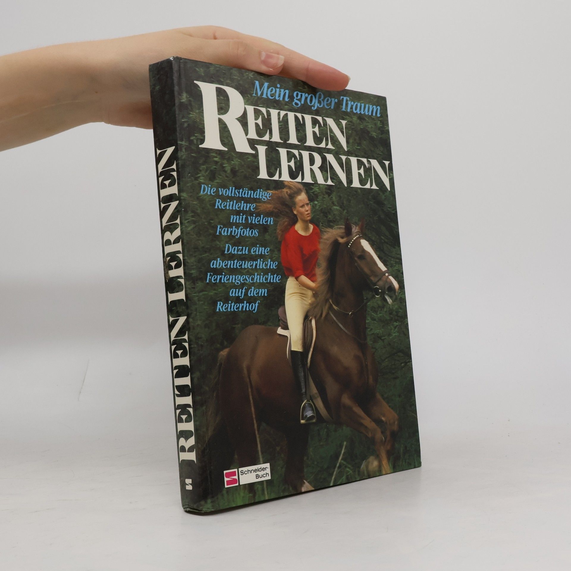 Reiten lernen