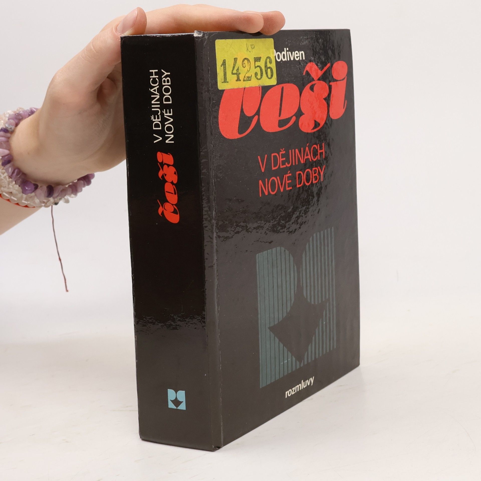 Autorenkollektiv Češi v dějinách nové doby : pokus o zrcadlo