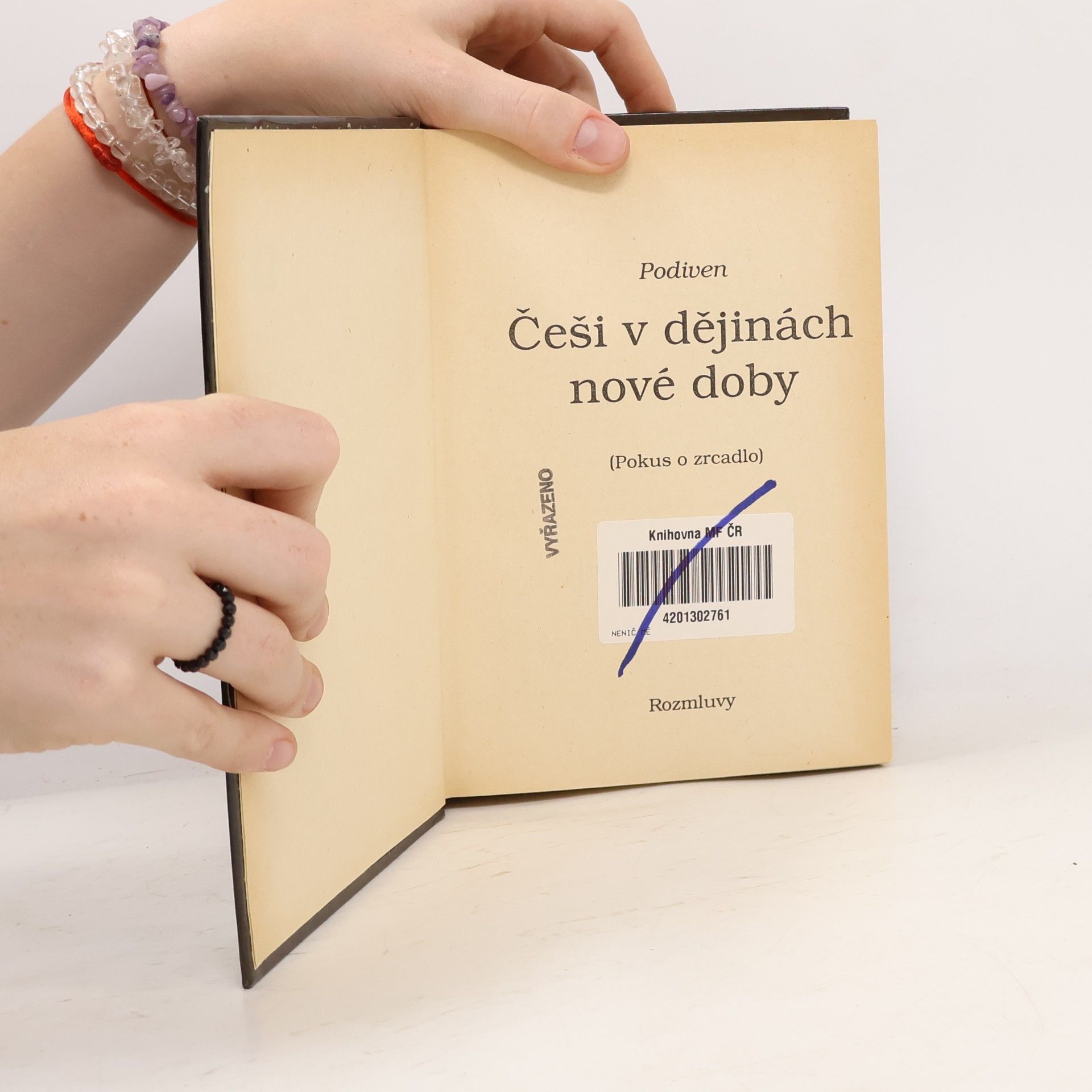 Autorenkollektiv Češi v dějinách nové doby : pokus o zrcadlo