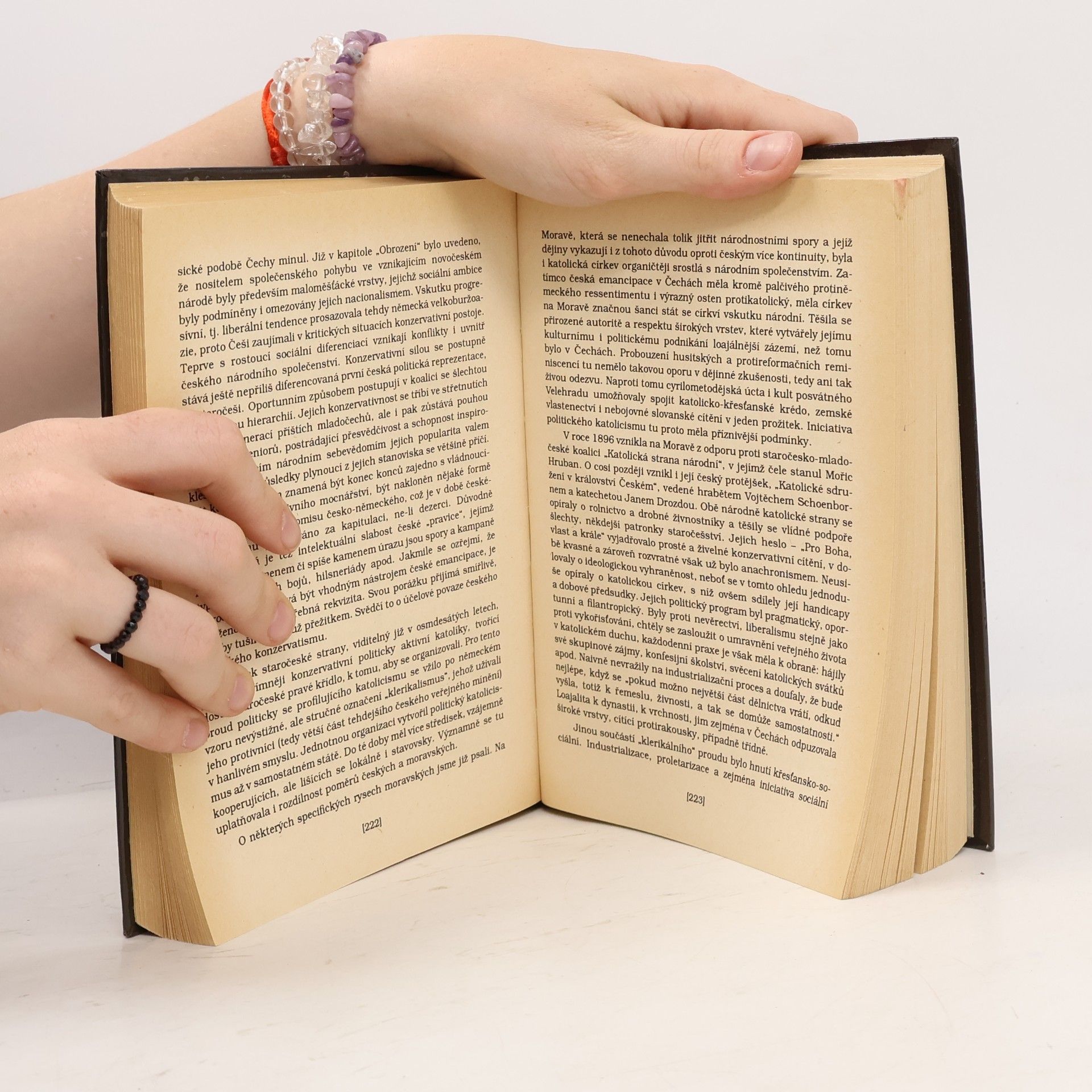 Autorenkollektiv Češi v dějinách nové doby : pokus o zrcadlo