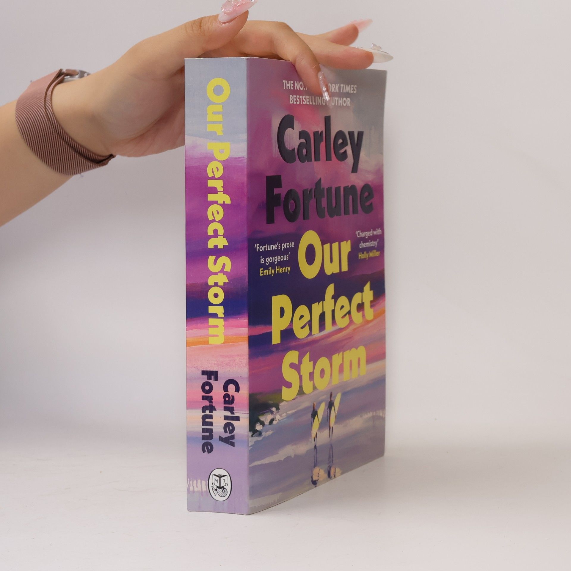 Carley Fortune Our Perfect Storm: The #1 bestselling summer romance from the author behind Every Year After - the hit new TV series