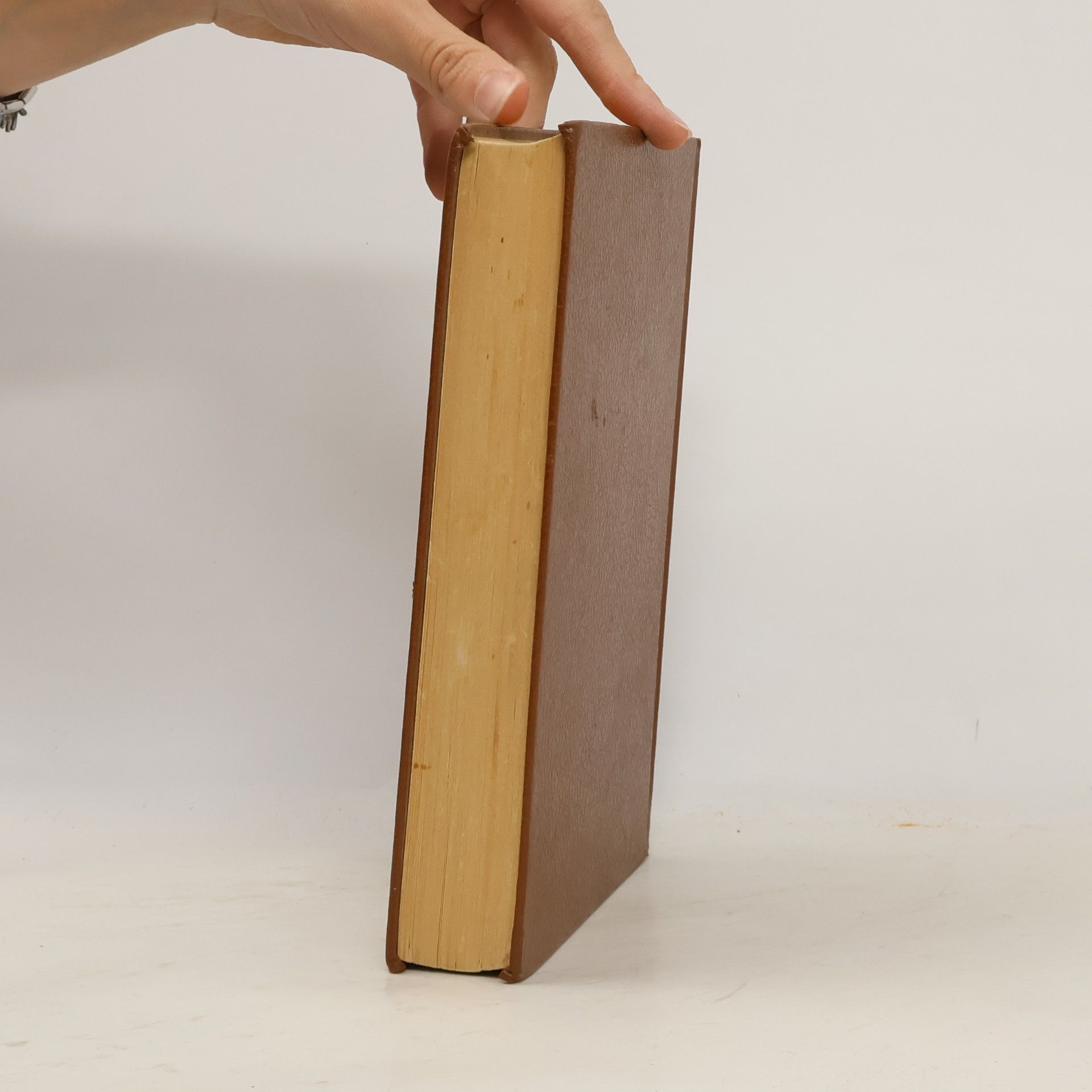 Émile Zola Collection Biblio-Luxe: L'Assommoir