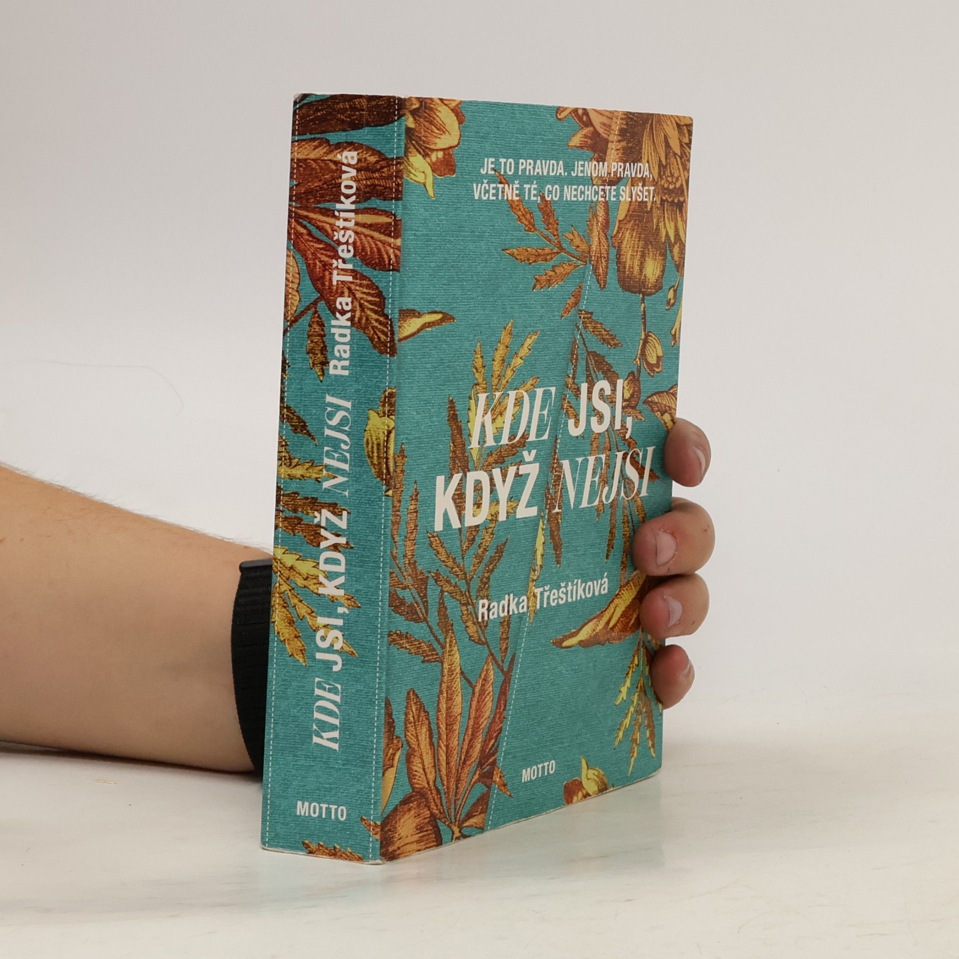Radka Třeštíková Kde jsi, když nejsi