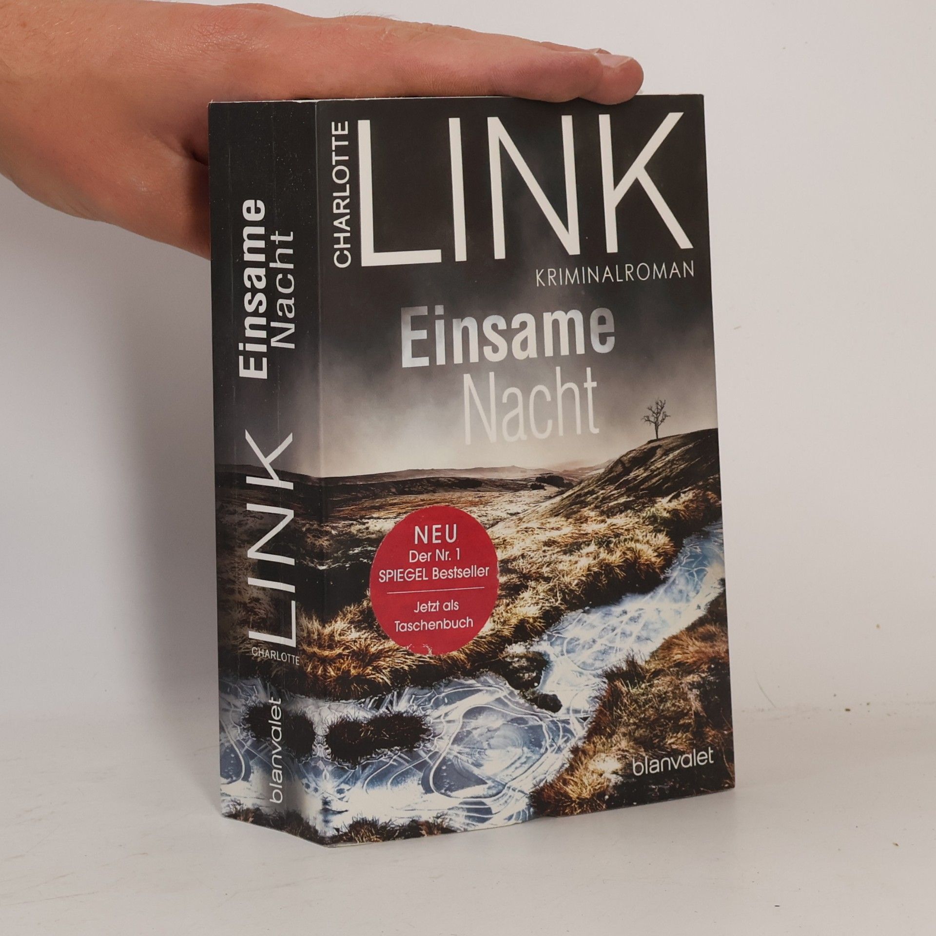 Charlotte Link Einsame Nacht