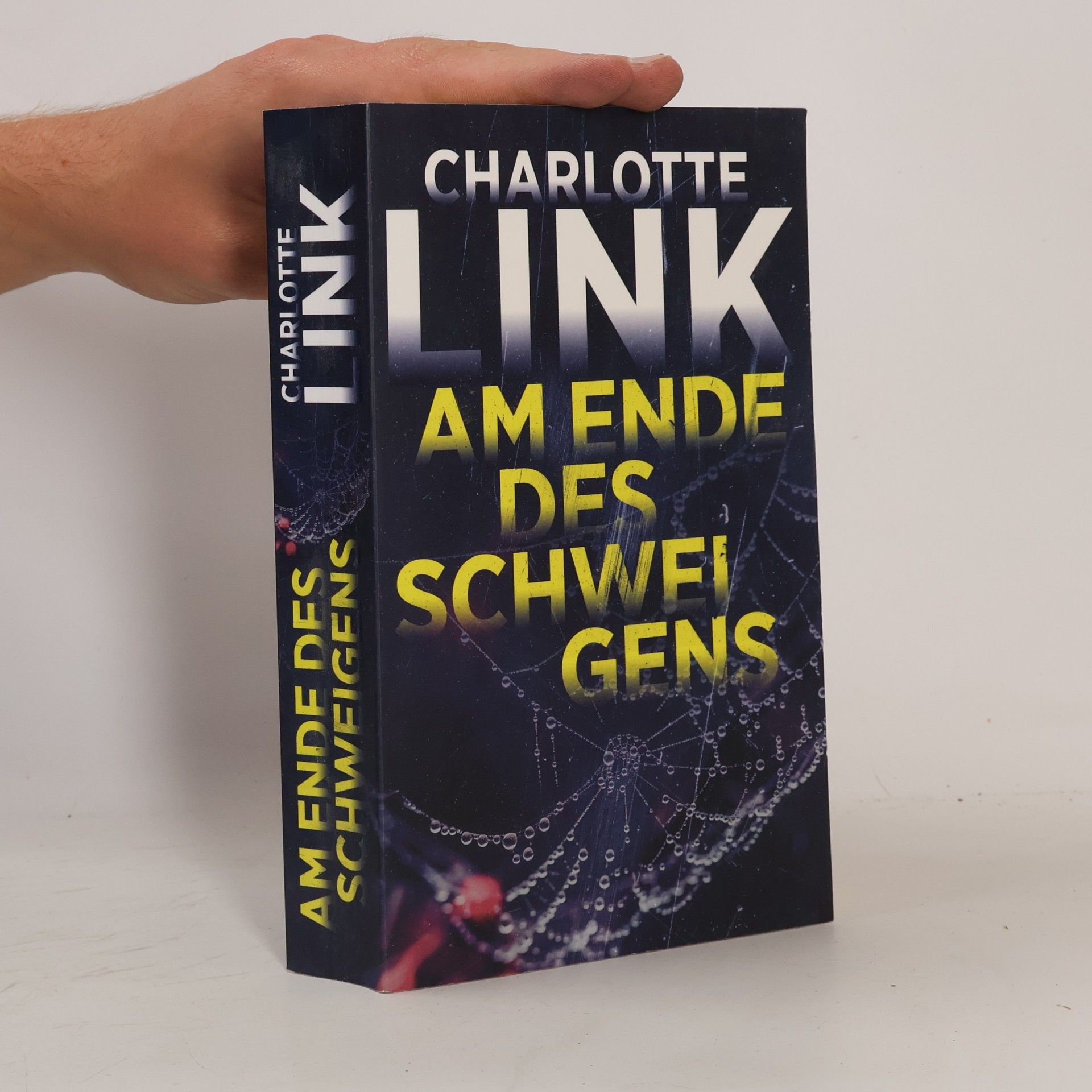 Charlotte Link Am Ende des Schweigens