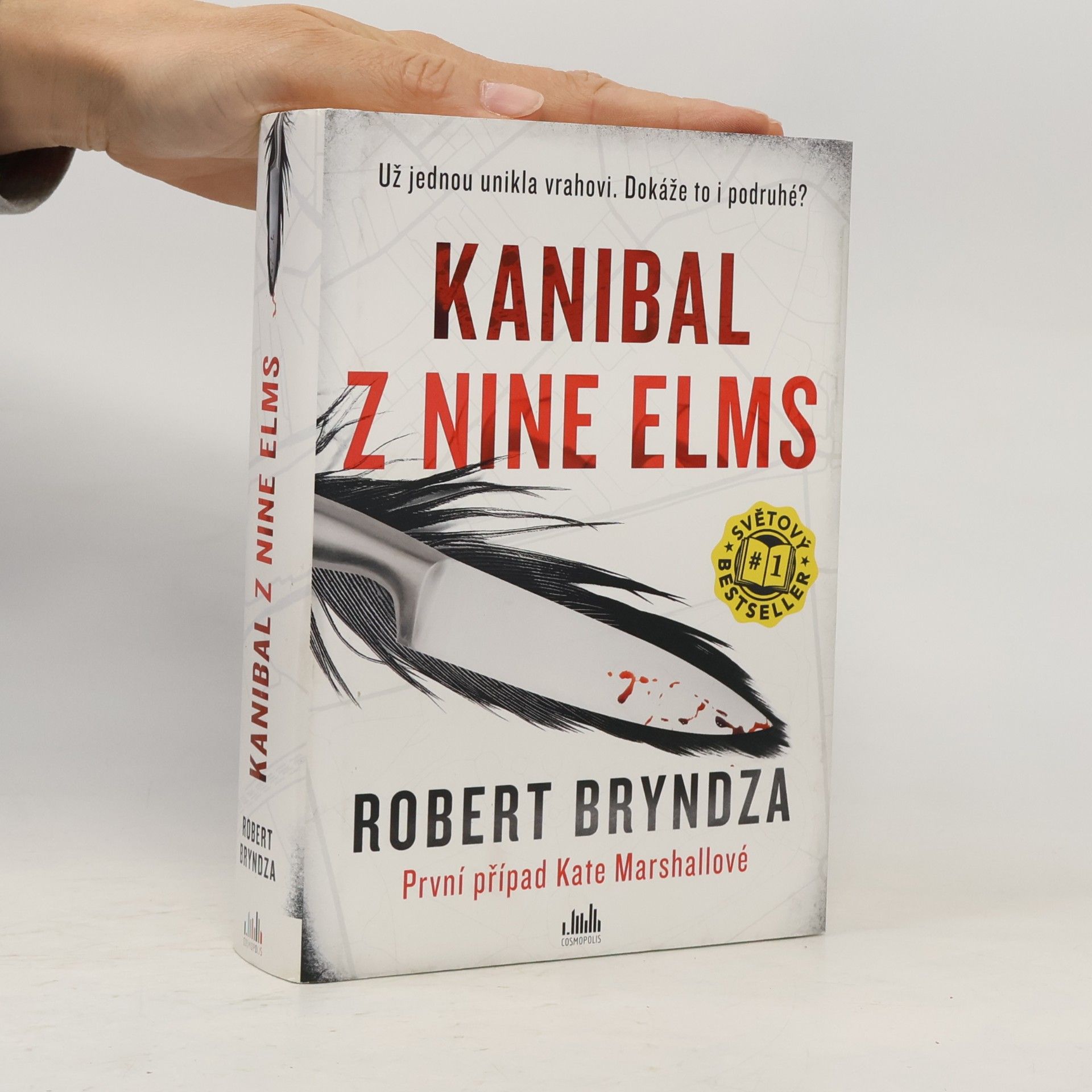 Robert Bryndza Kanibal z Nine Elms
