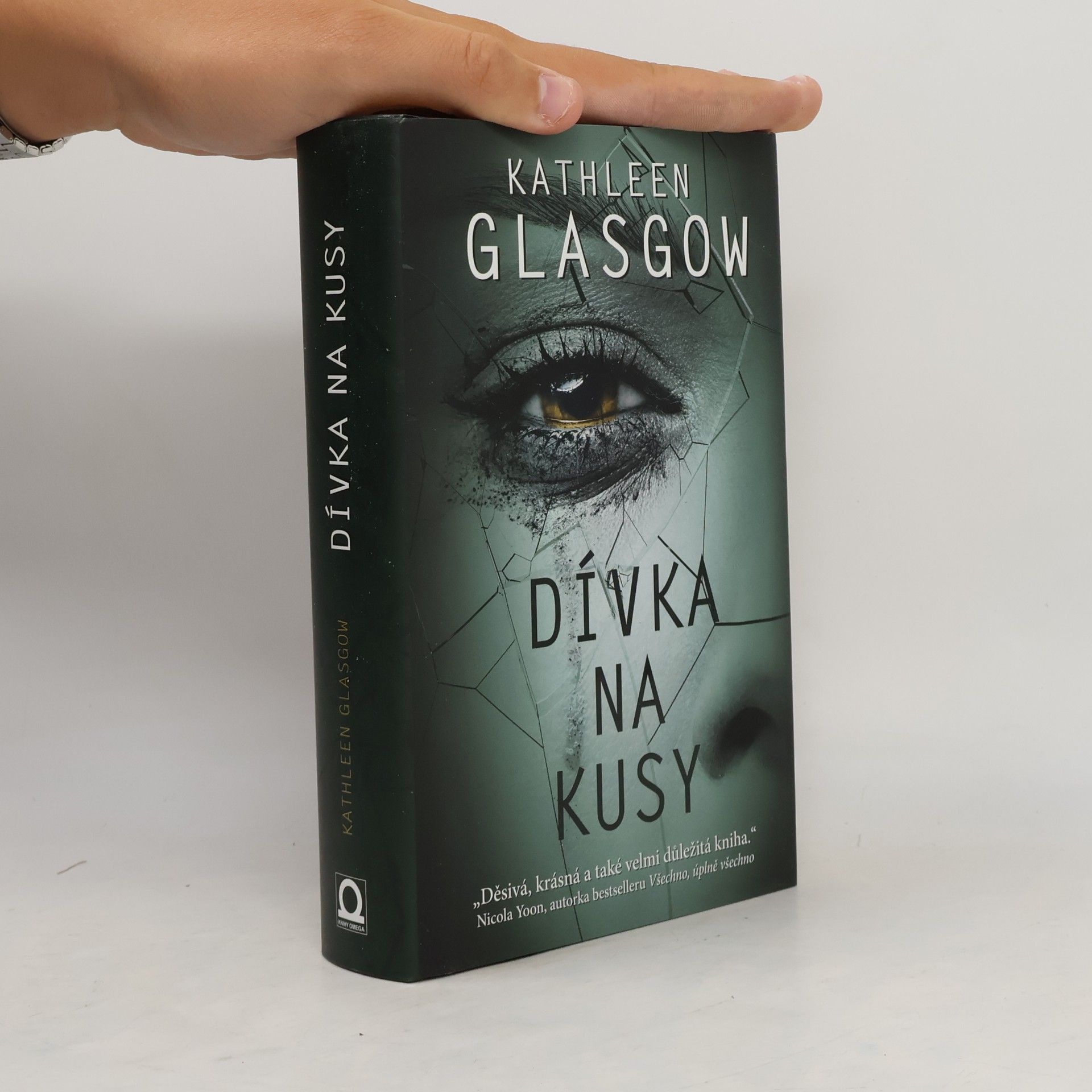Kathleen Glasgow Dívka na kusy