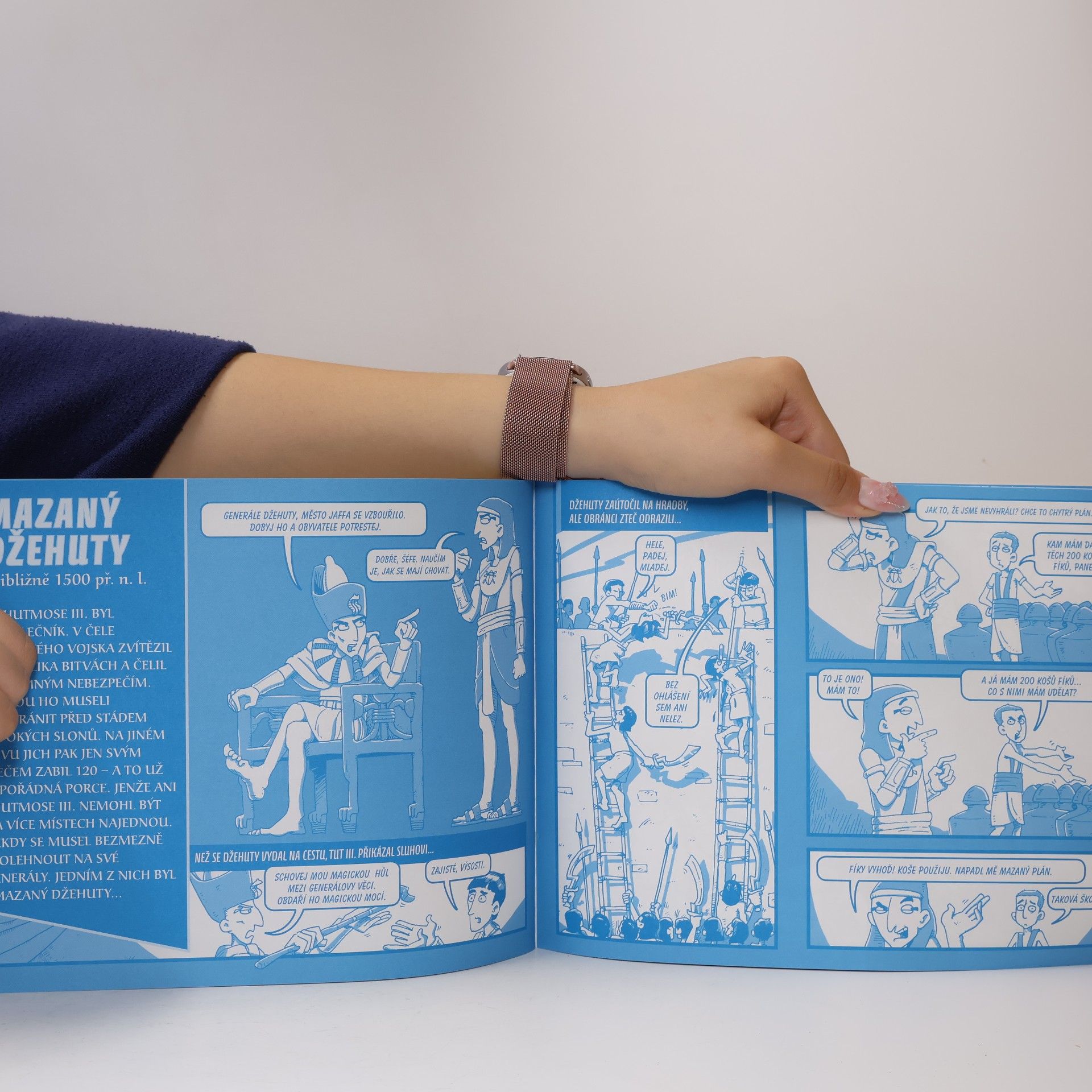Terry Deary Egypt : komiksový rychlokurz