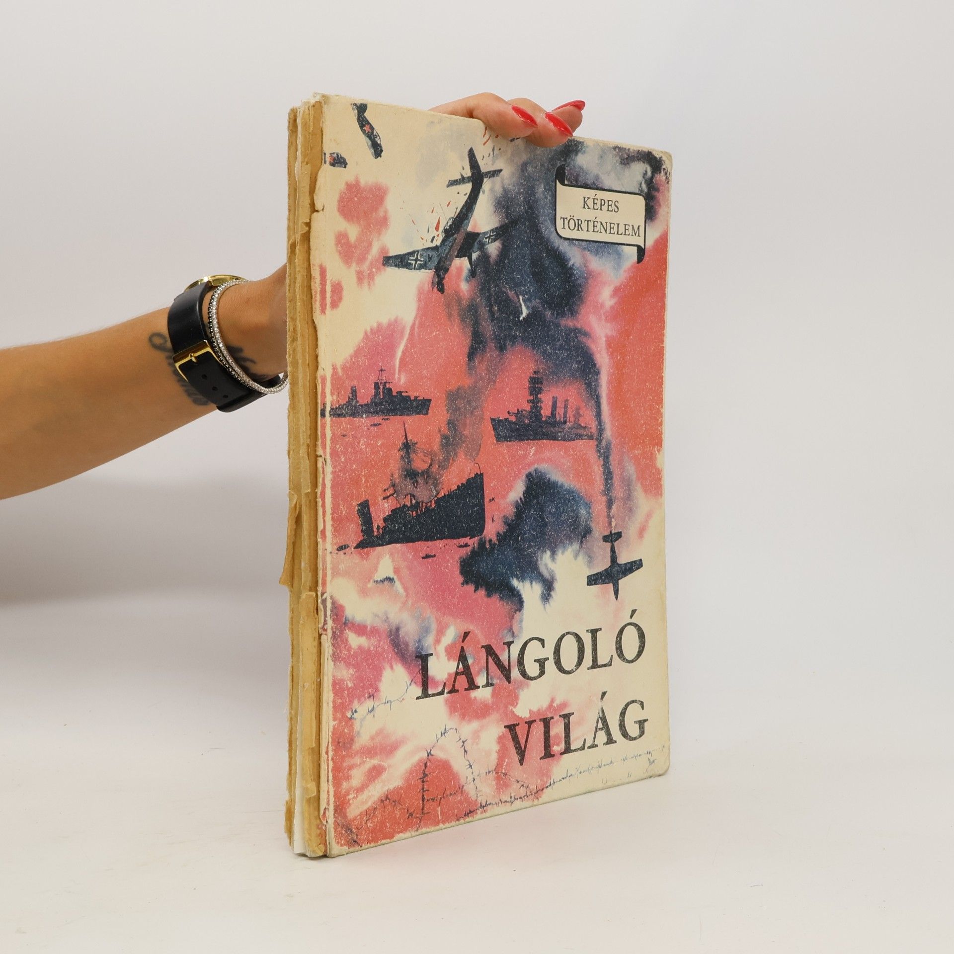 Klára D. Major Képes történelem: Lángoló világ